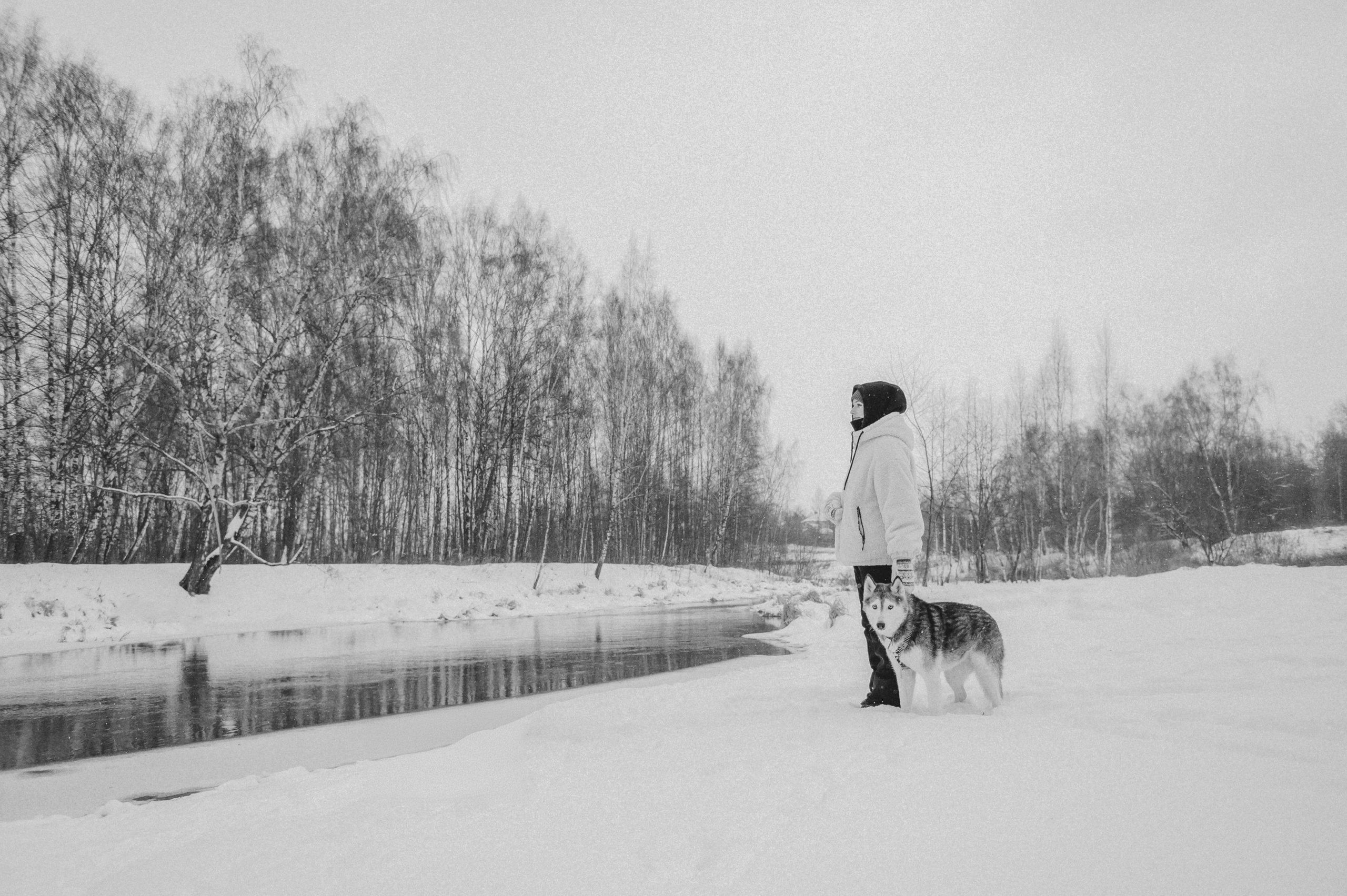 Люда и хаски Тегра (Королев, 2024). Анна Пушина, фотограф, Москва, Королев, Пушкино