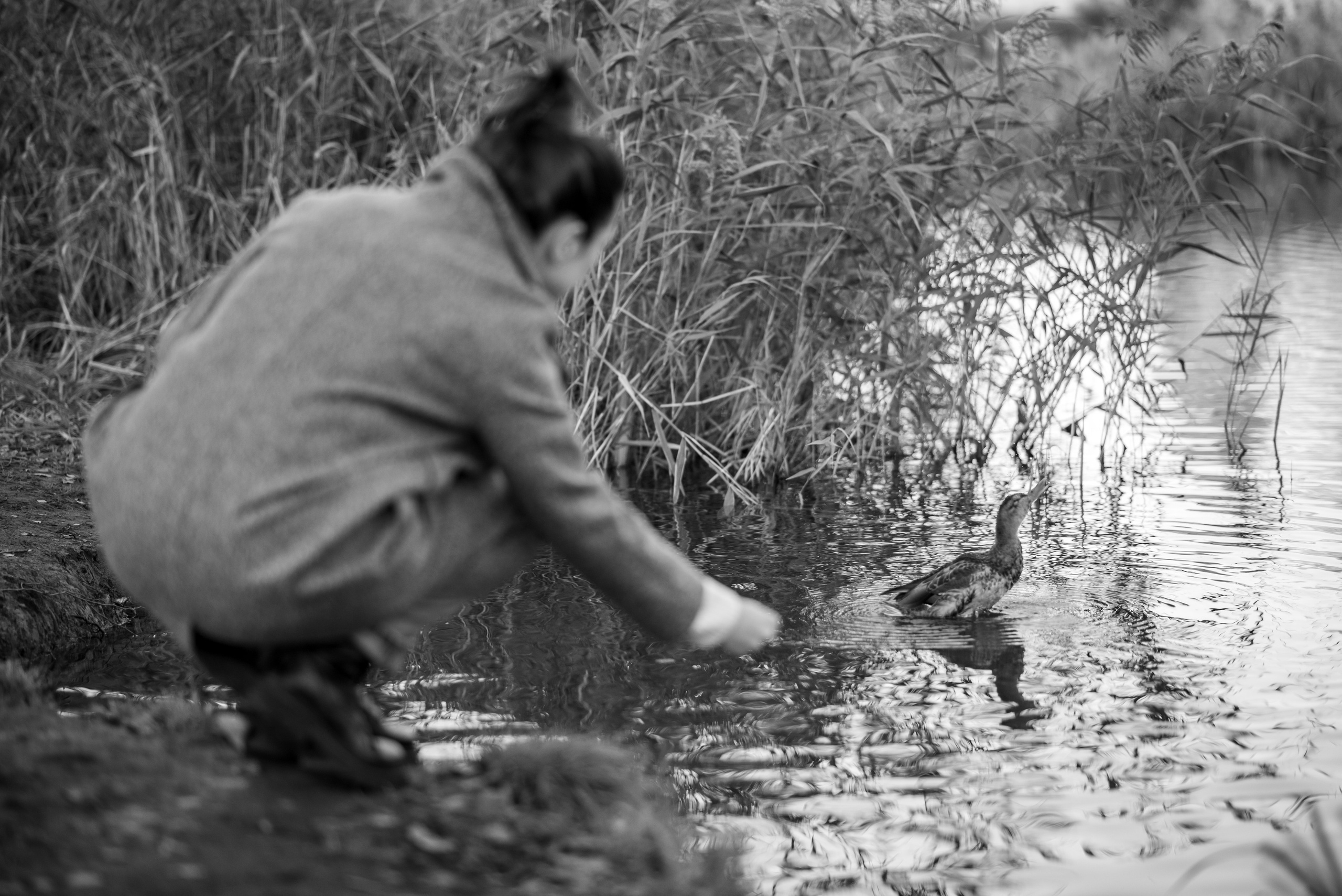 Ирина. Фотограф Стеценко Наталия. Одинцово, Москва, Московская область