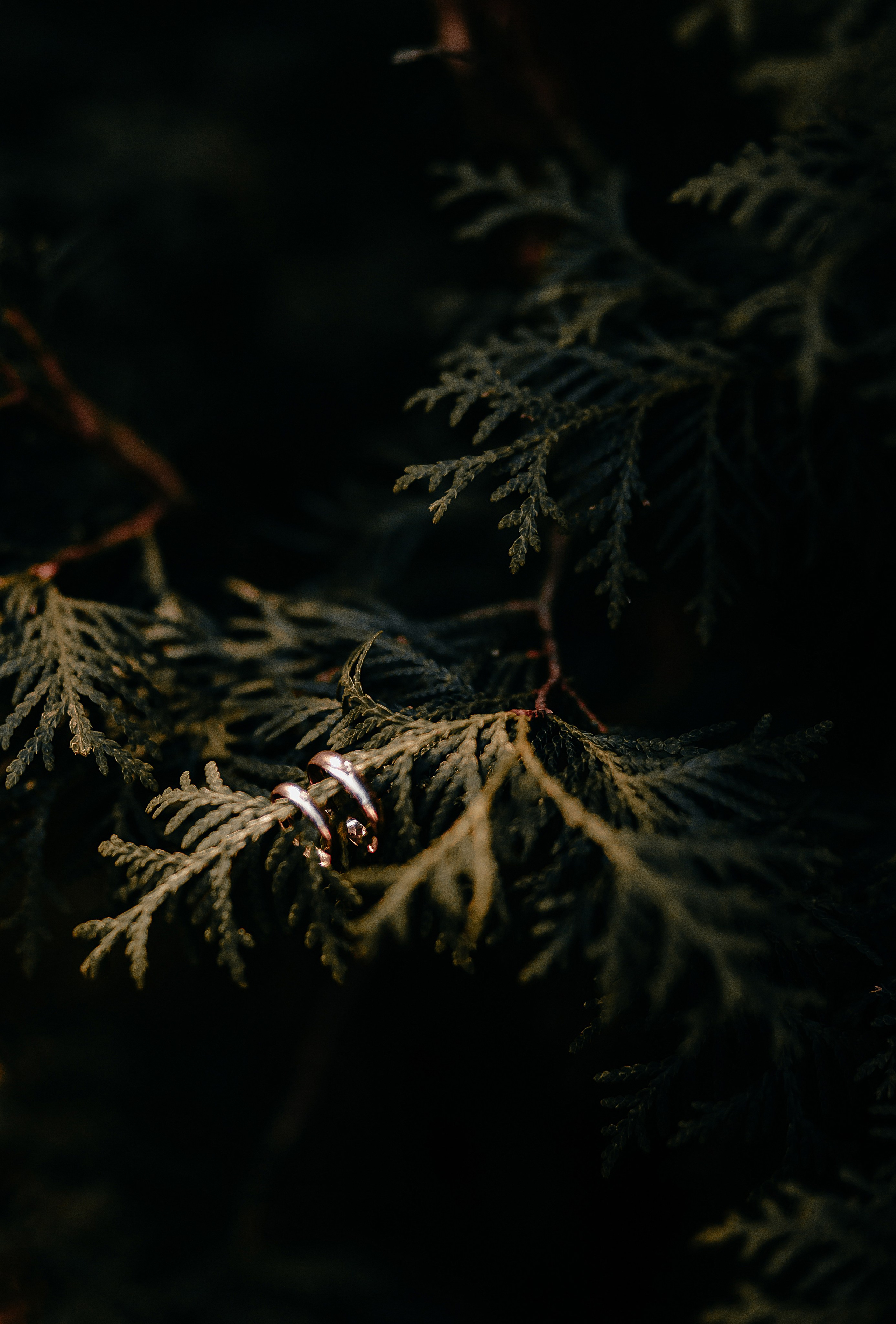 Арсений и Полина. Фотосъёмка в Барнауле. Свадебный фотограф