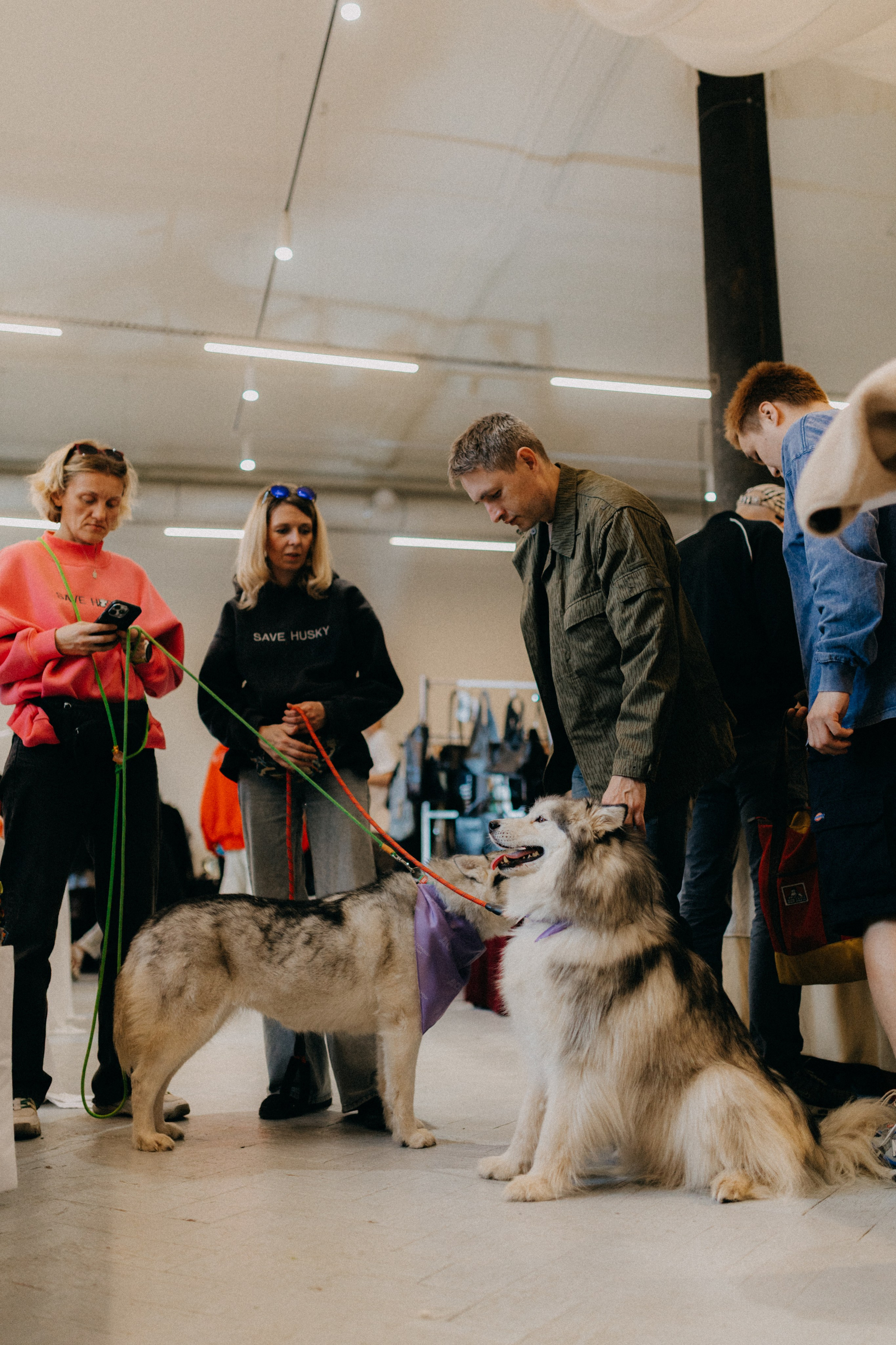 Маркет КИТЧ. Фотограф НОГИНСК, Москва, Анастасия Белая