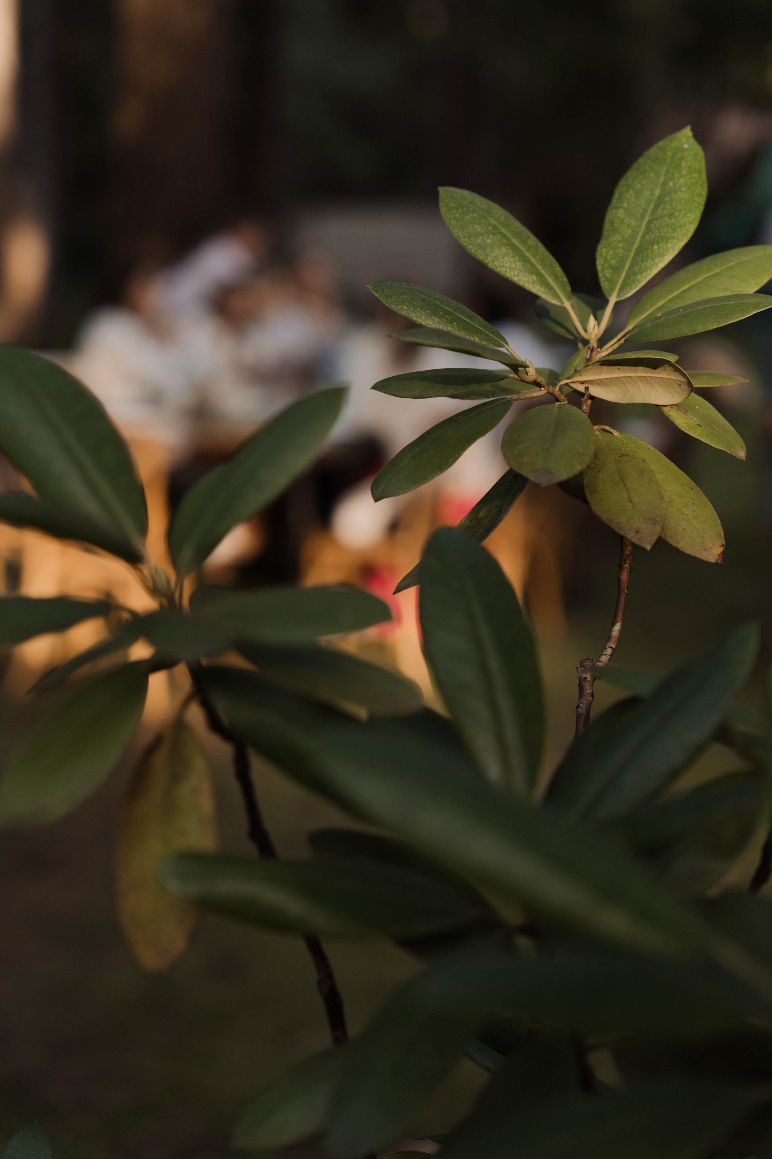 2 года Веронике. ФОТОГРАФ КСЕНИЯ СОСНОВСКАЯ