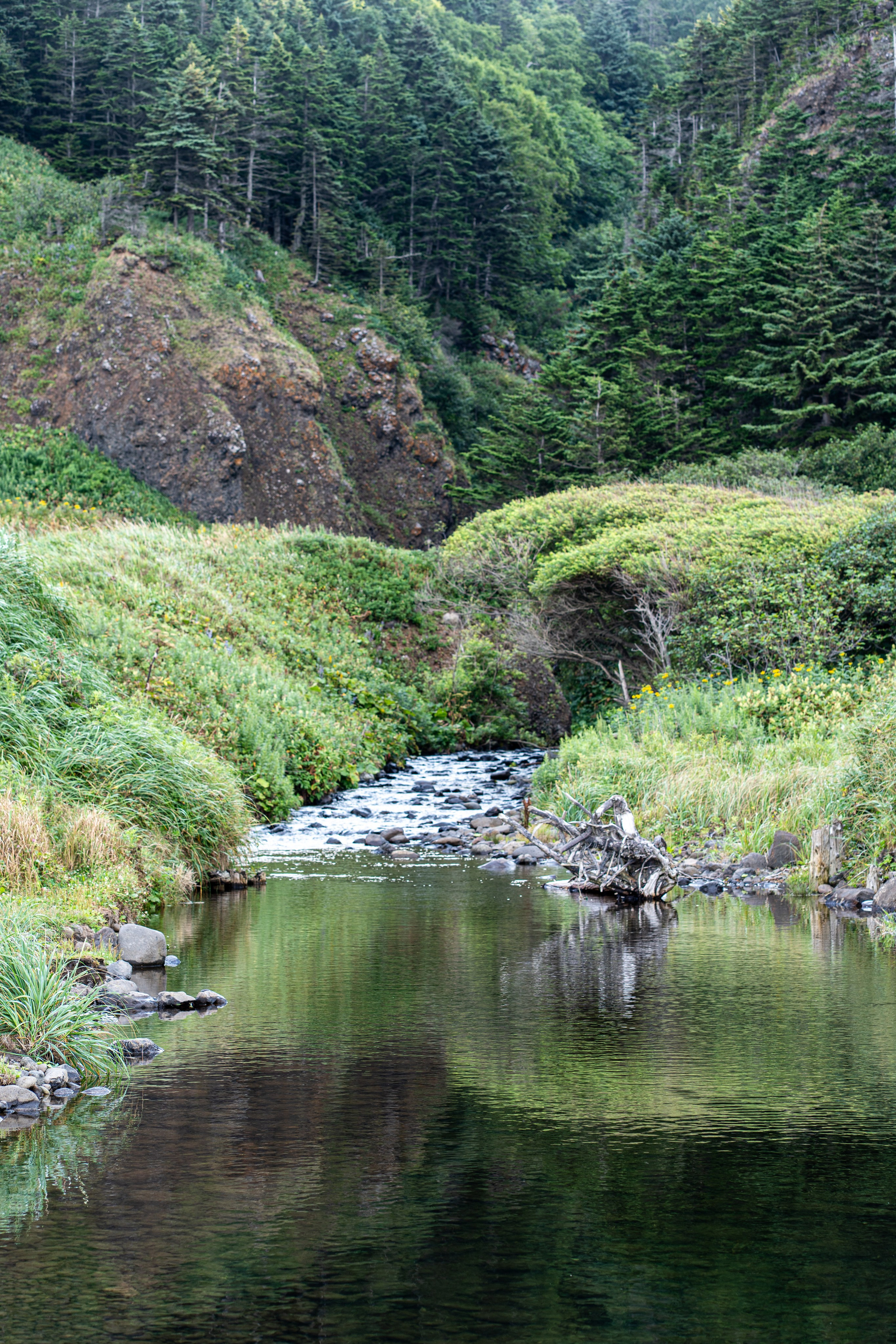 Сахалин 2025. Творческие сьемки