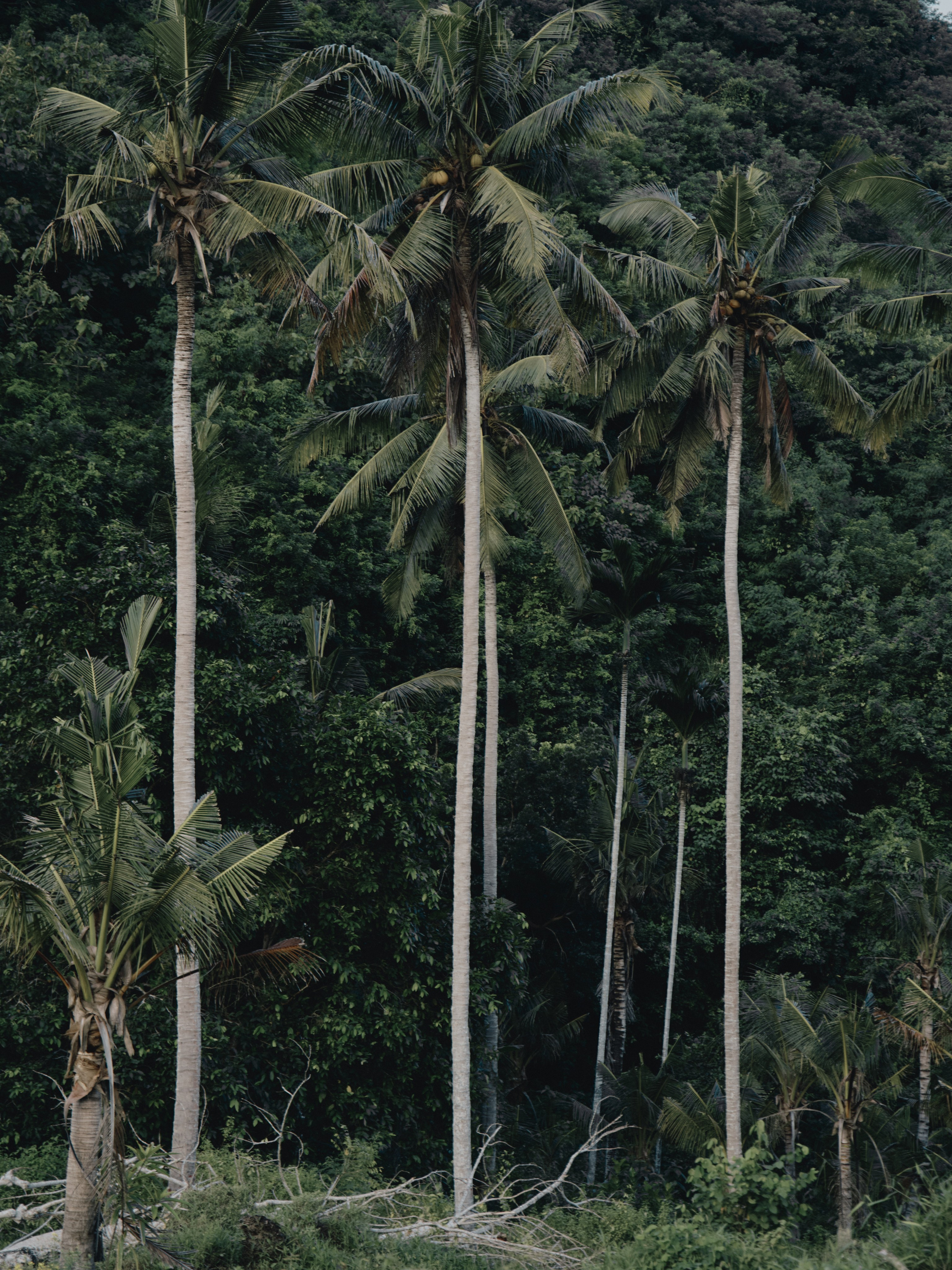 Asia. Olya Filina | Moscow Photographer