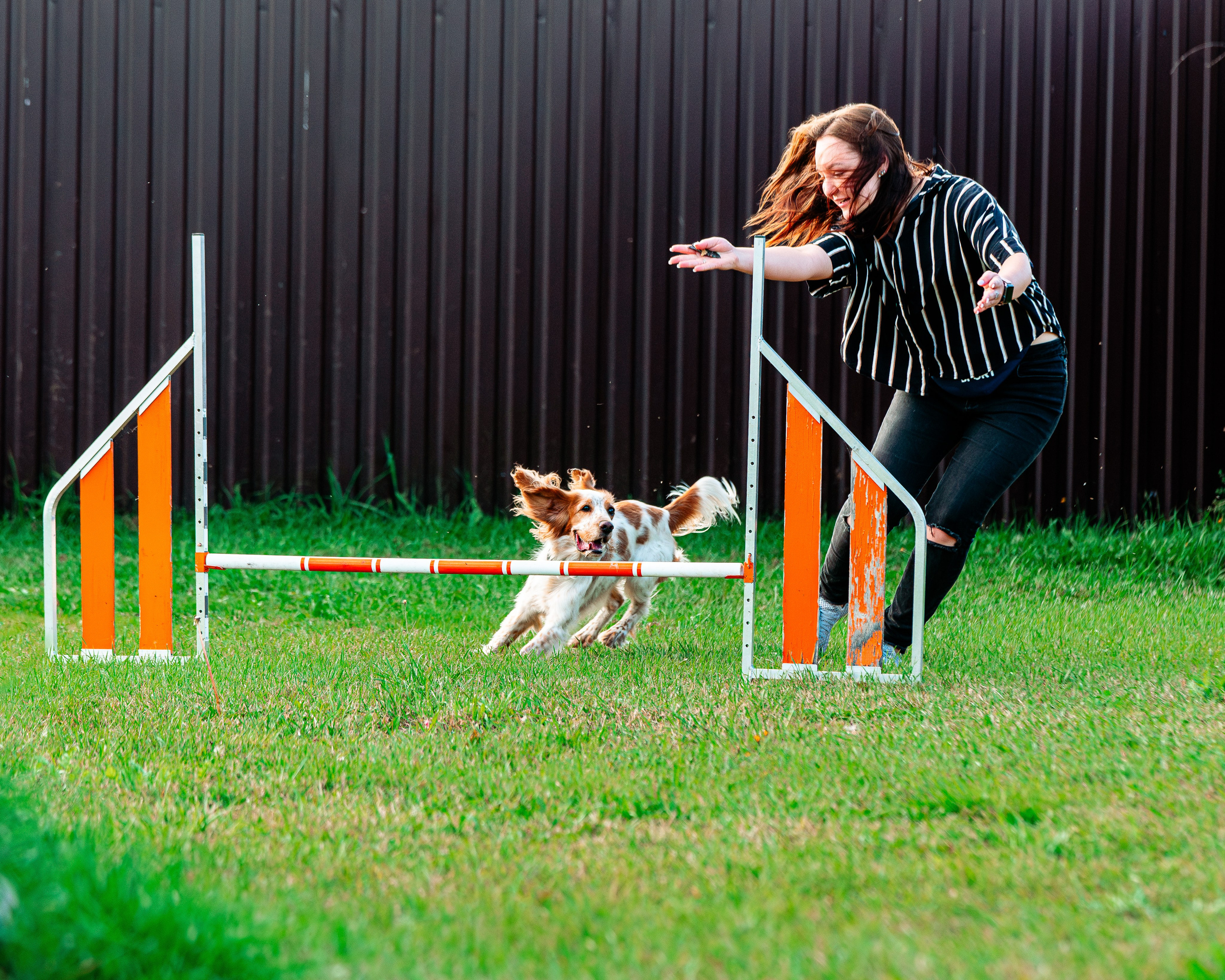 Ваш путь к ПОБЕДЕ (ТРЕНИРОВКИ). Фотограф-анималист, семейный фотограф в Москве и Подмосковье. Фотосъёмка кинологических дисциплин