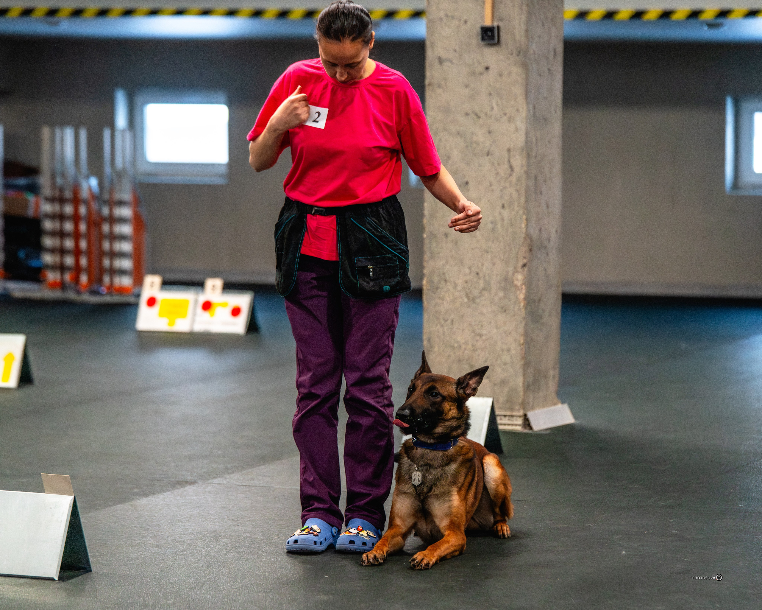 ТЫ И Я (соревнования по ралли-обидиенс). Фотограф-анималист, семейный фотограф в Москве и Подмосковье. Фотосъёмка кинологических дисциплин