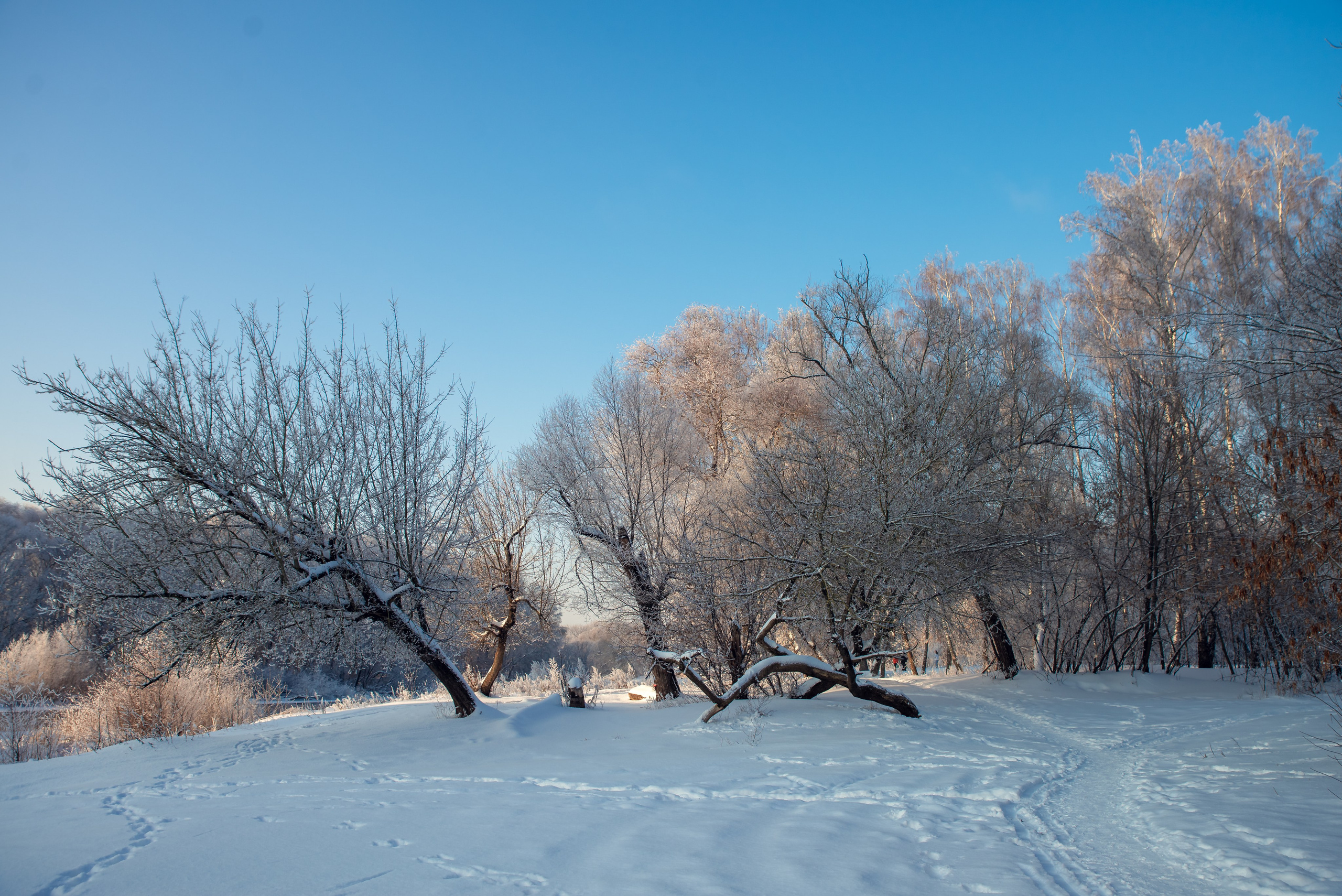 Зимушка зима. Фотограф Крещение Венчание Москва