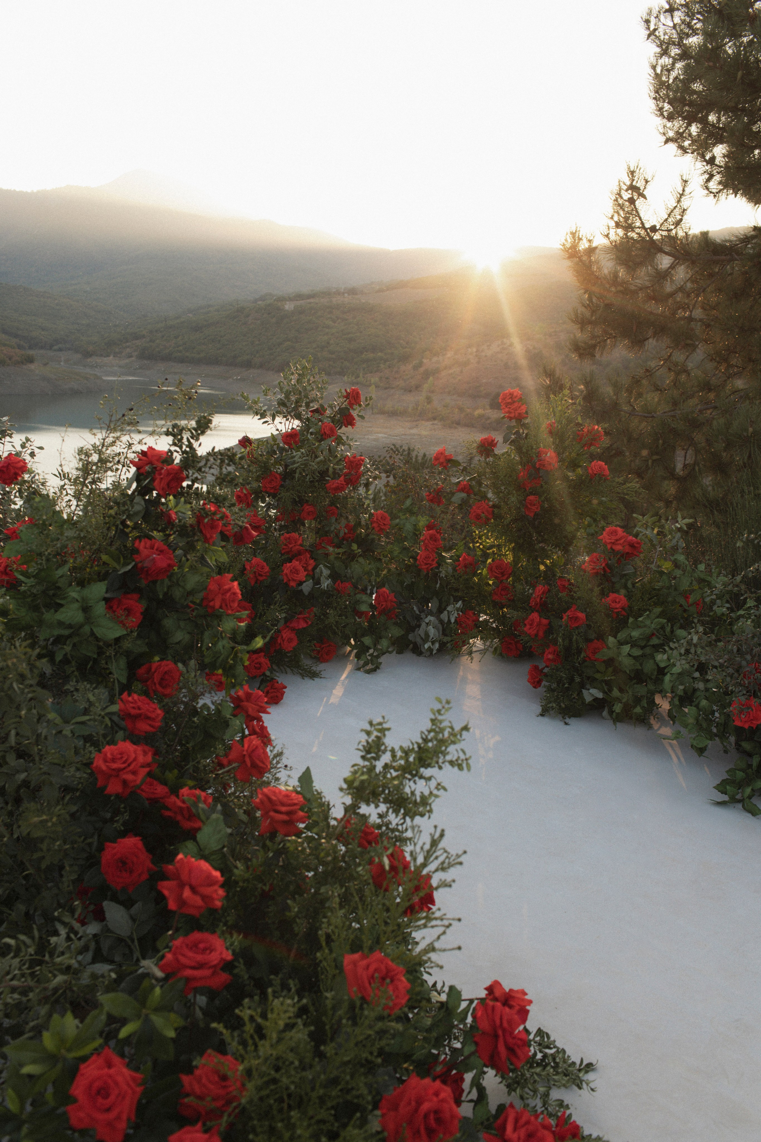 Весь мир — фон для любви. Свадебный фотограф в Севастополе и Крыму. Видеограф на свадьбу Крым, Севастополь, Ялта, Симферополь