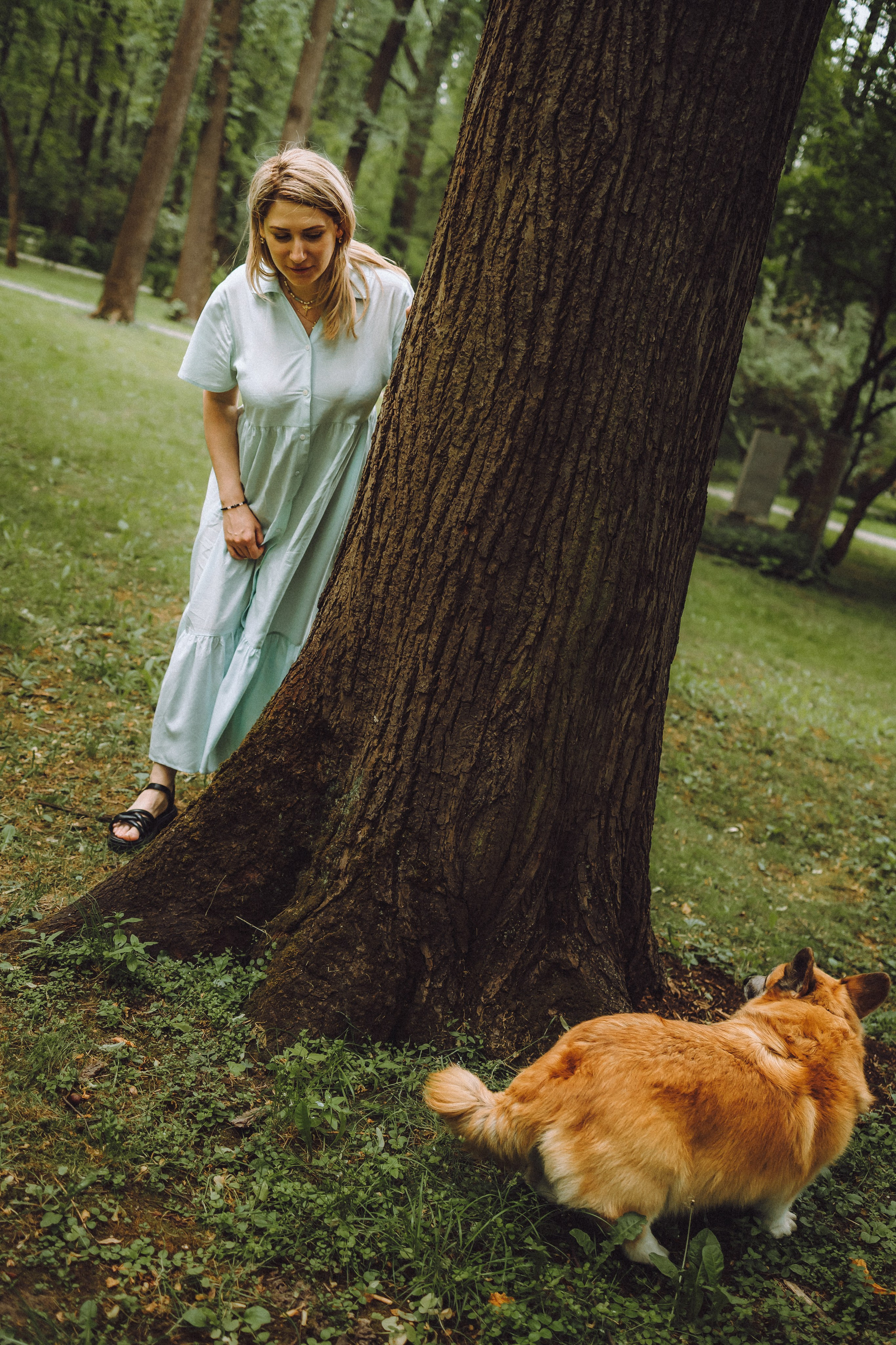 Ира, Леша и Харли