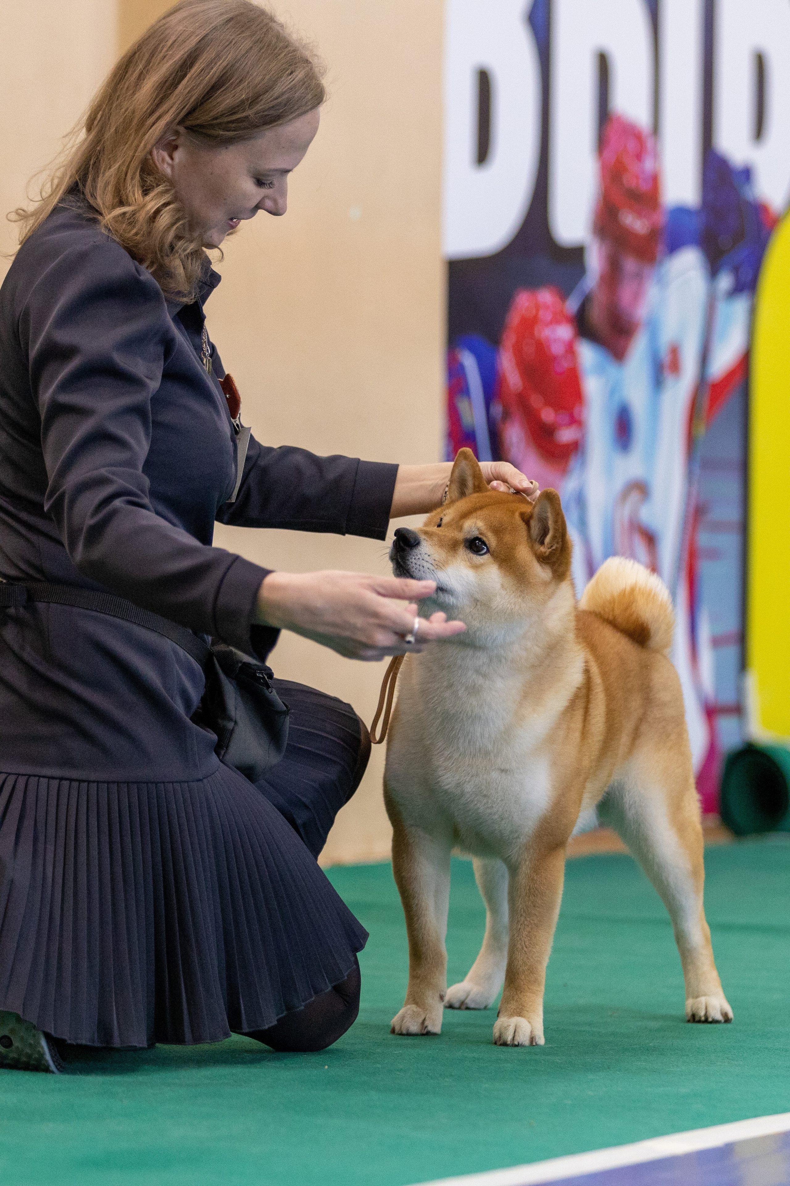 Собаки. Фотограф Яна Матвеева в Ижевске