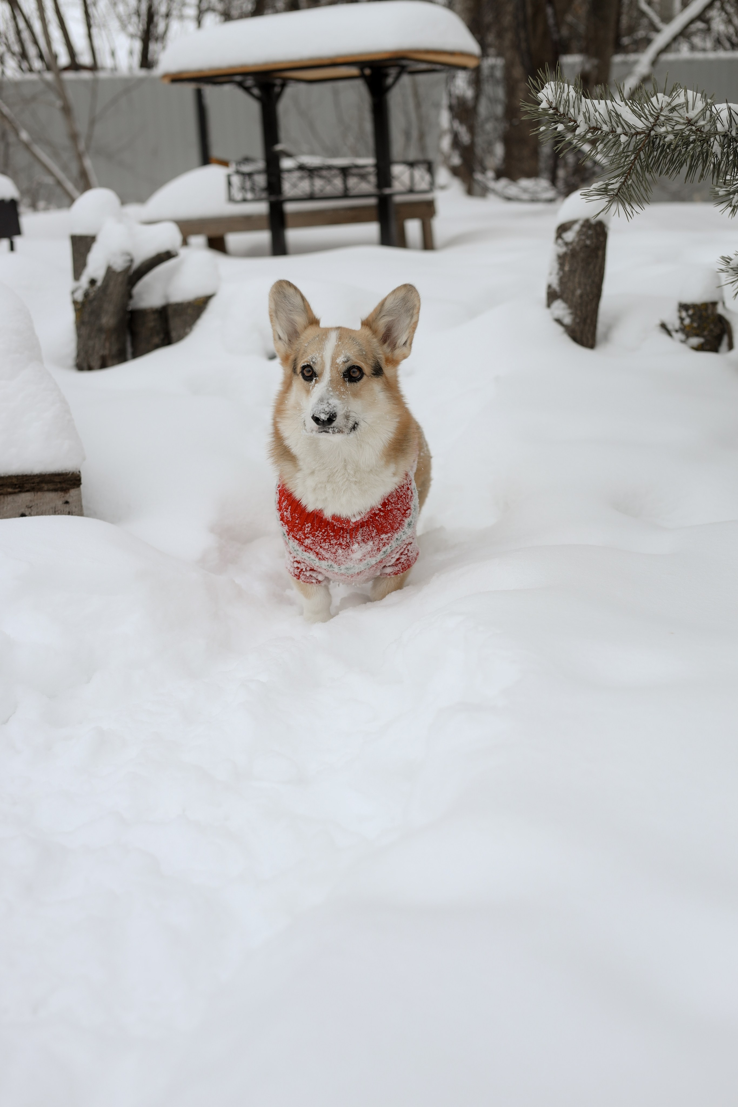 № 2. Photographer Tatiana Ivanova in Yaroslavl