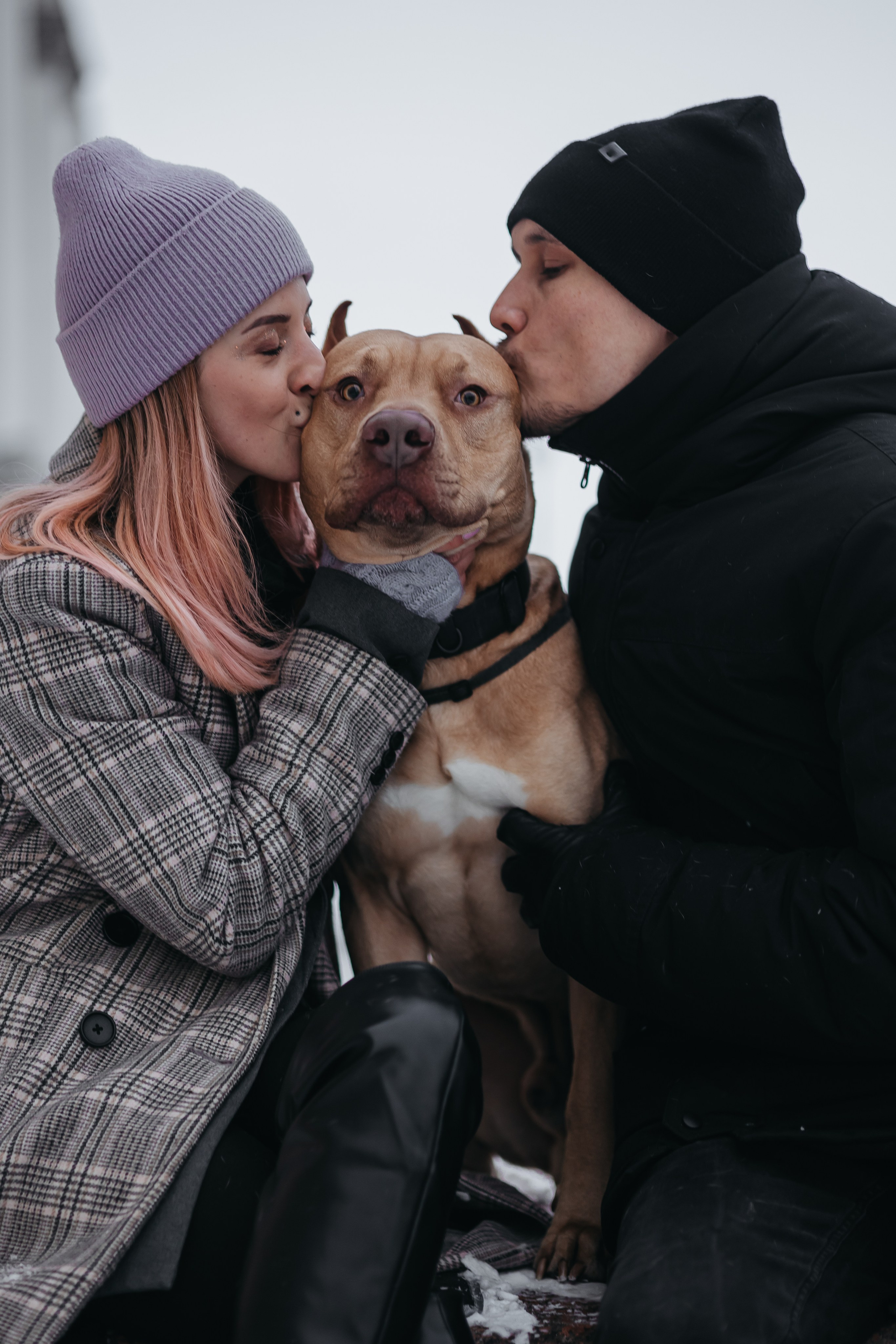 Саша, Света и Ицар. Фотограф-анималист в Санкт-Петербурге Алина Яхонт