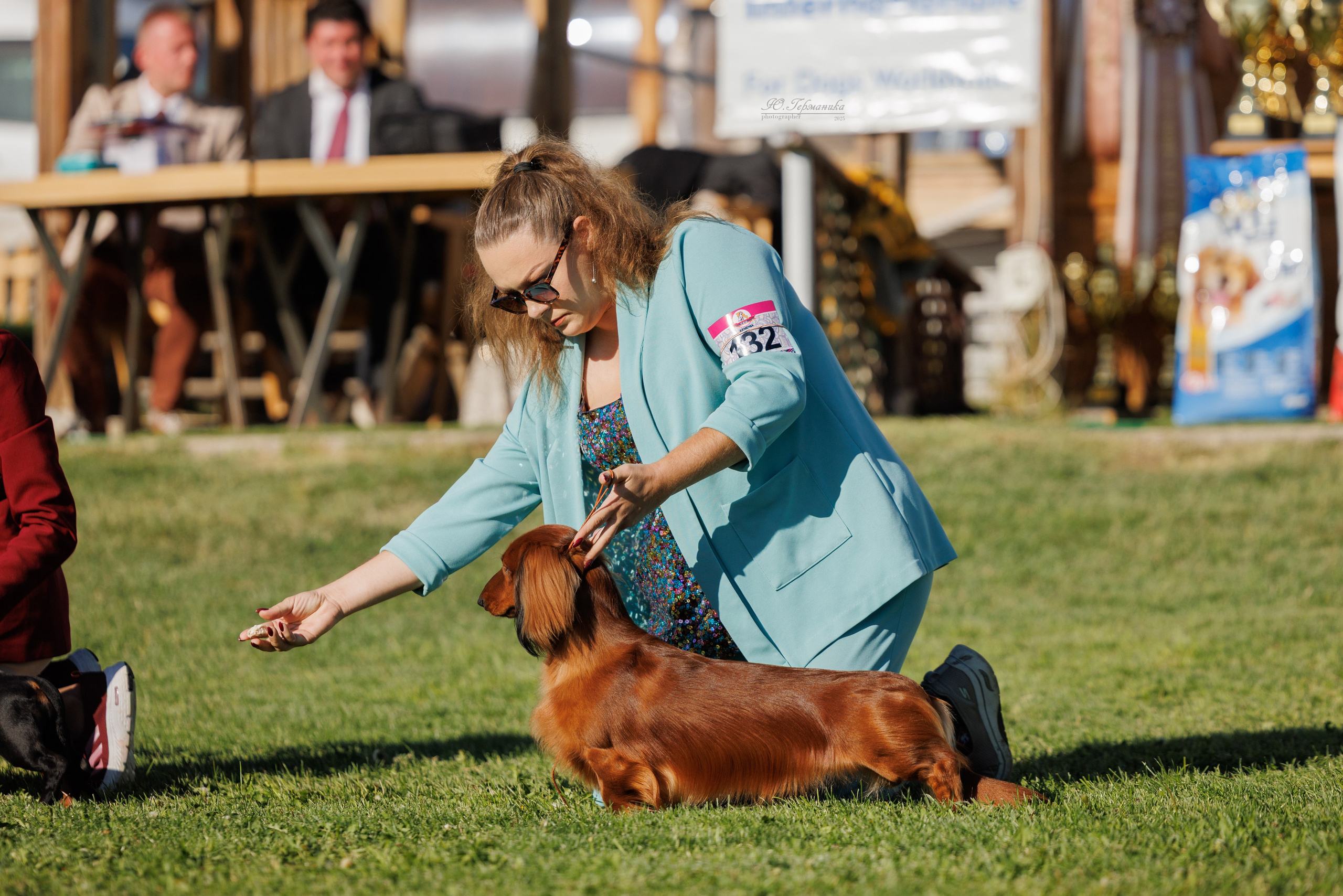 Ереван 14-16.10.2025. Фотограф-анималист Юлия Германика