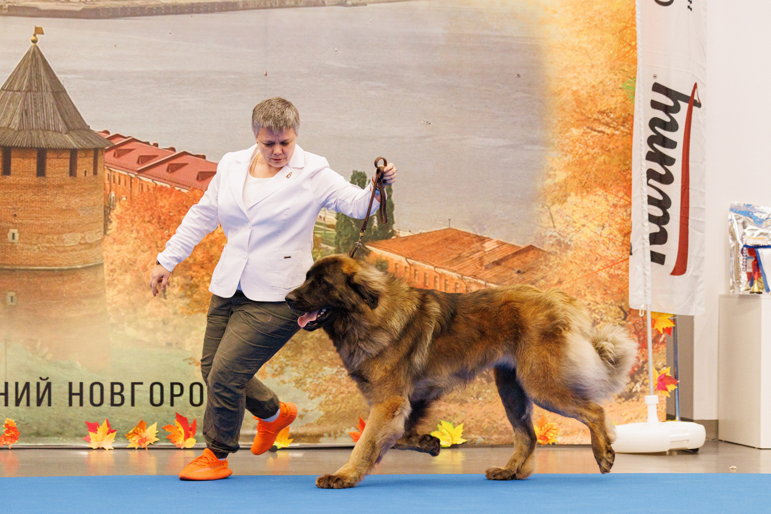 Нижний Новгород 21-22.10.2023. Фотограф-анималист Юлия Германика