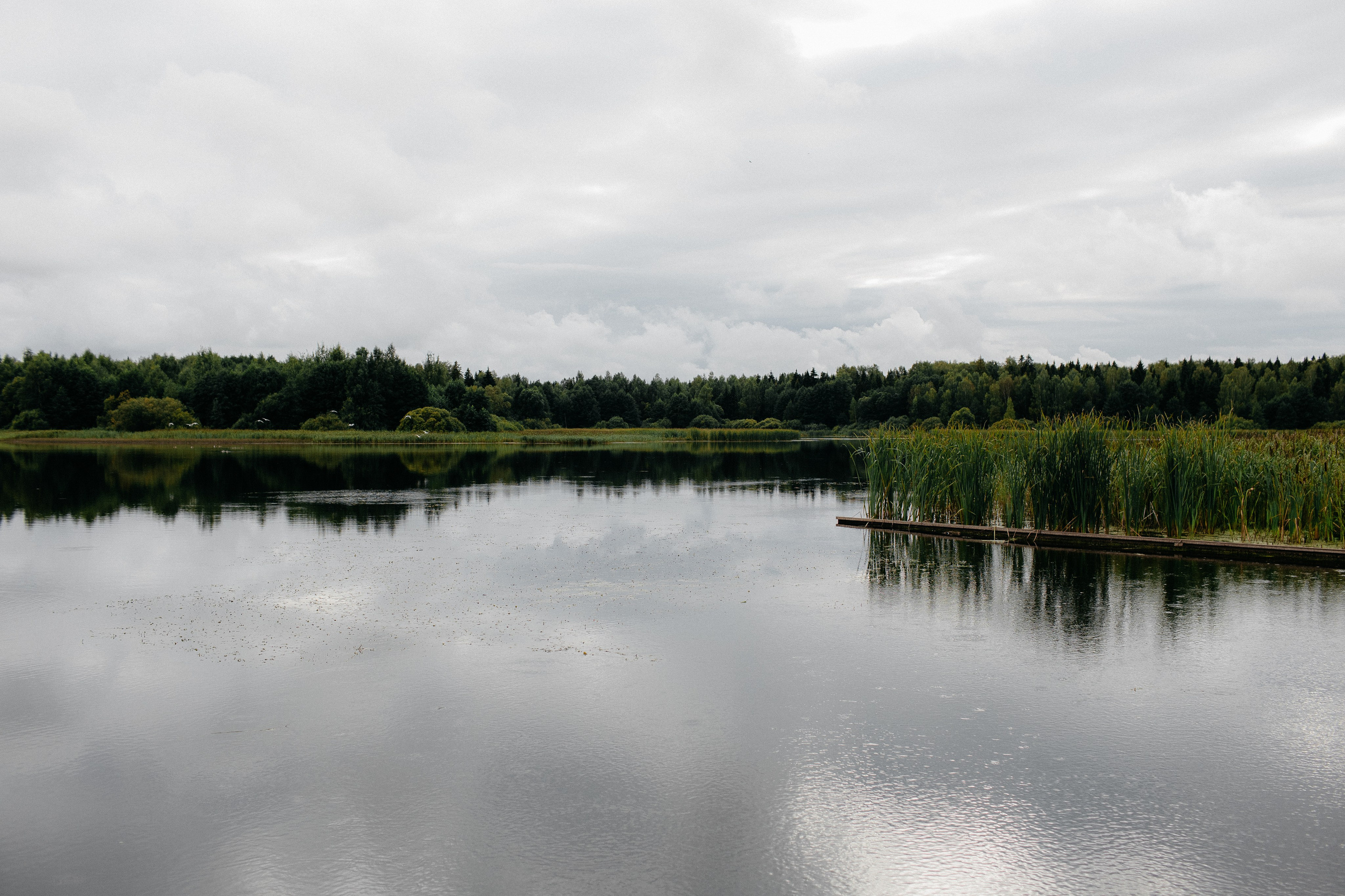 ВИТАЛИЙ И ВИКТОРИЯ. Свадебный и семейный фотограф Иваново Елена Угодина