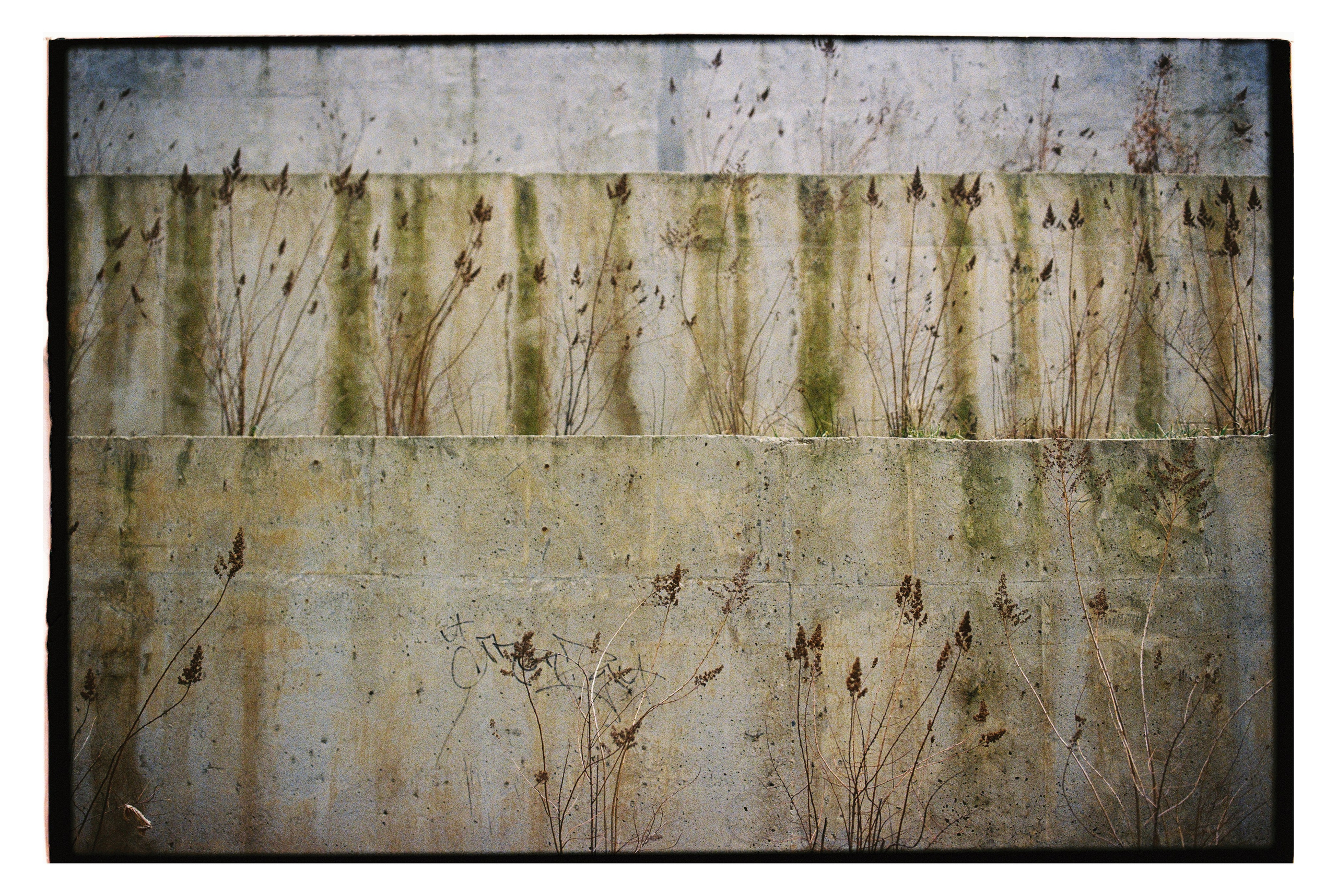 Street/travel. Photographer, Masha Berliner