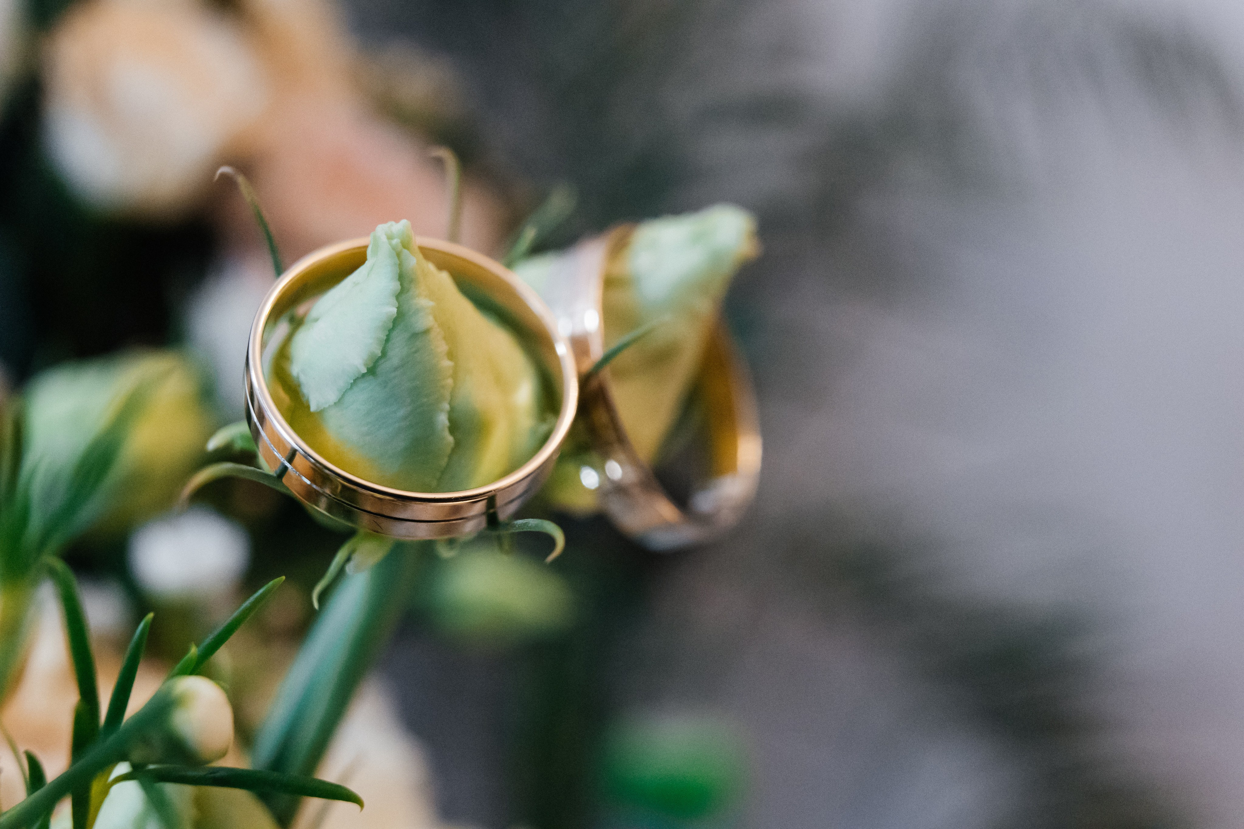 Анастасия и Геннадий. Владислав Волков | Фотография и видеосъемка в Воронеже