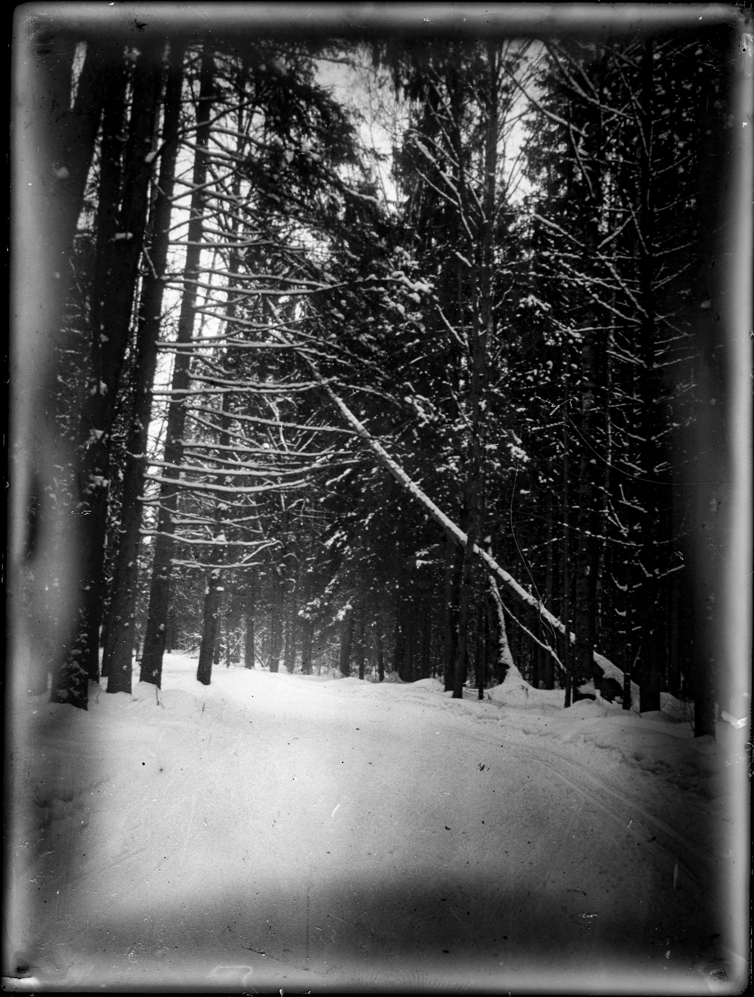 Glass plates. Darkroom aesthetics