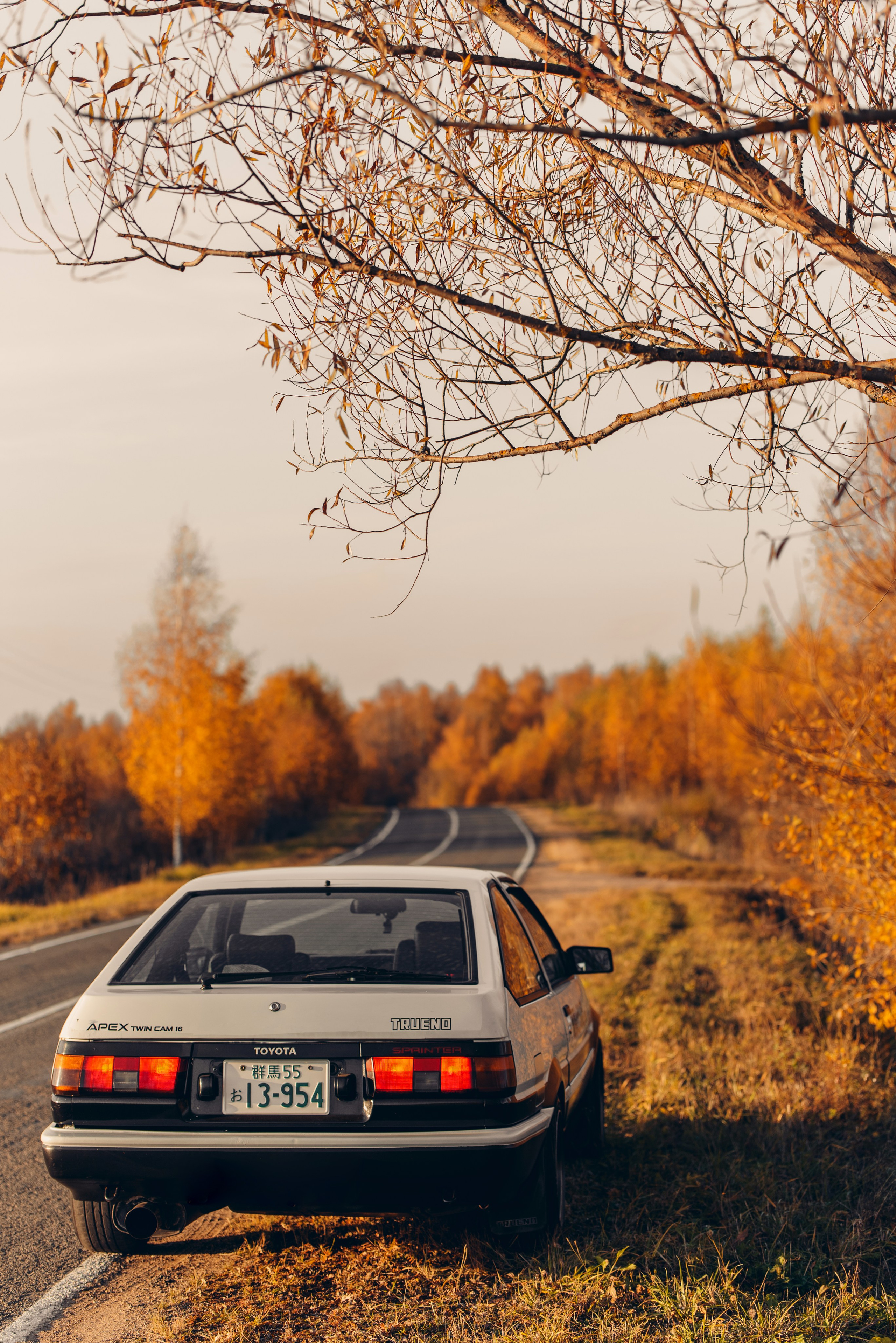 Toyota AE86 dxtakk. DeLorein
