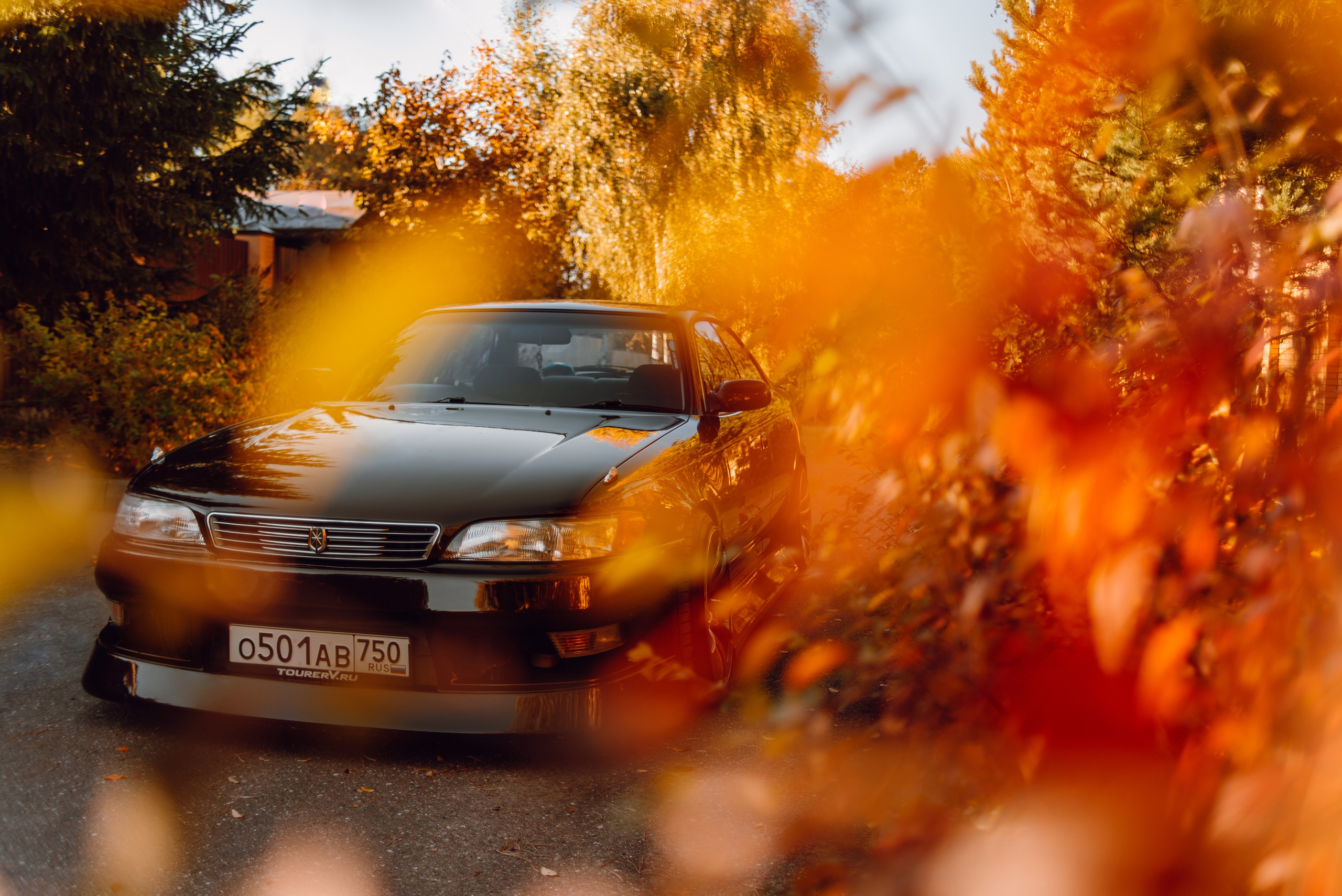 Toyota Mark ii _k_koroleva. DeLorein