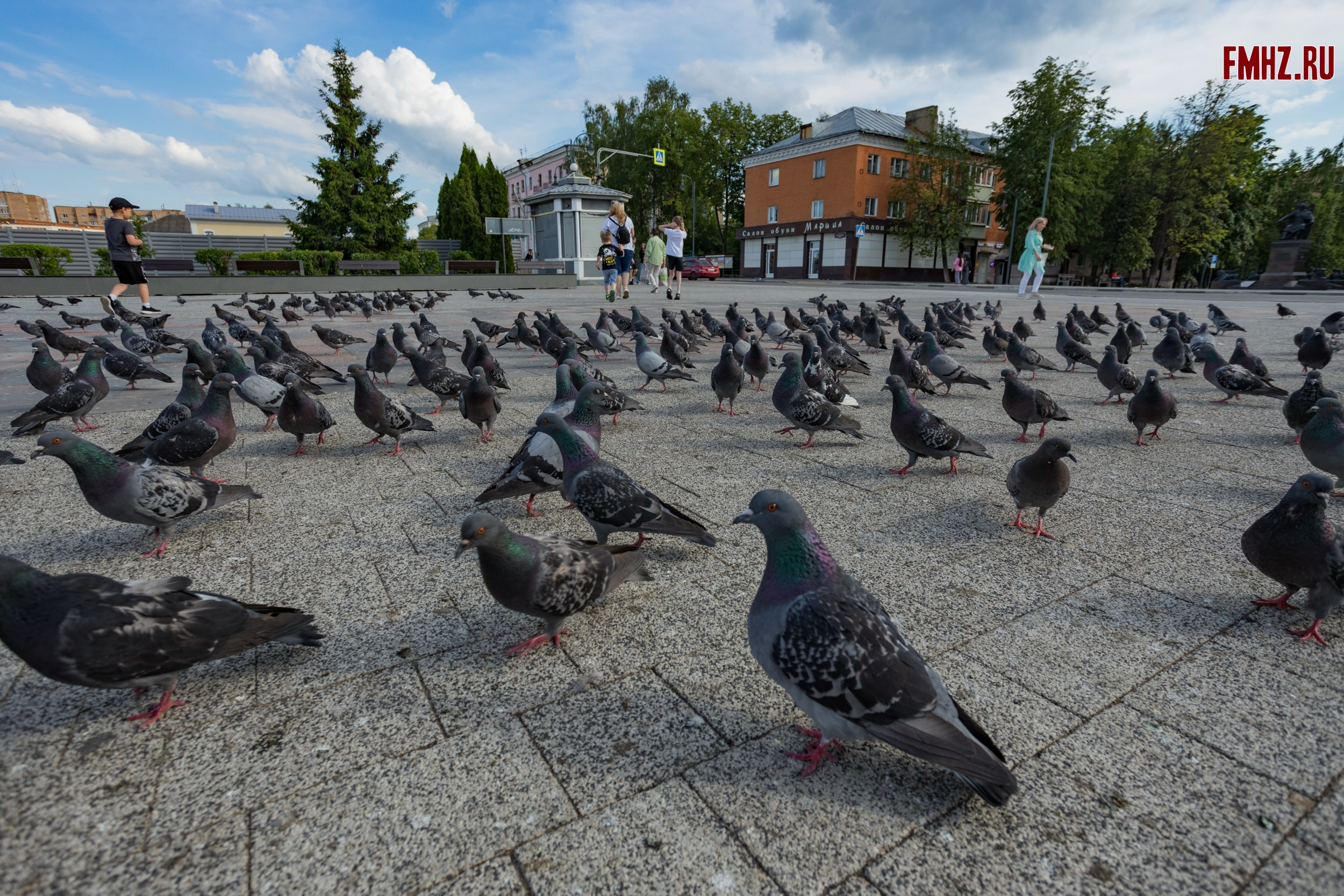 Егорьевск со Злобычем. Репортажный фотограф Борис Padre Кривошеев