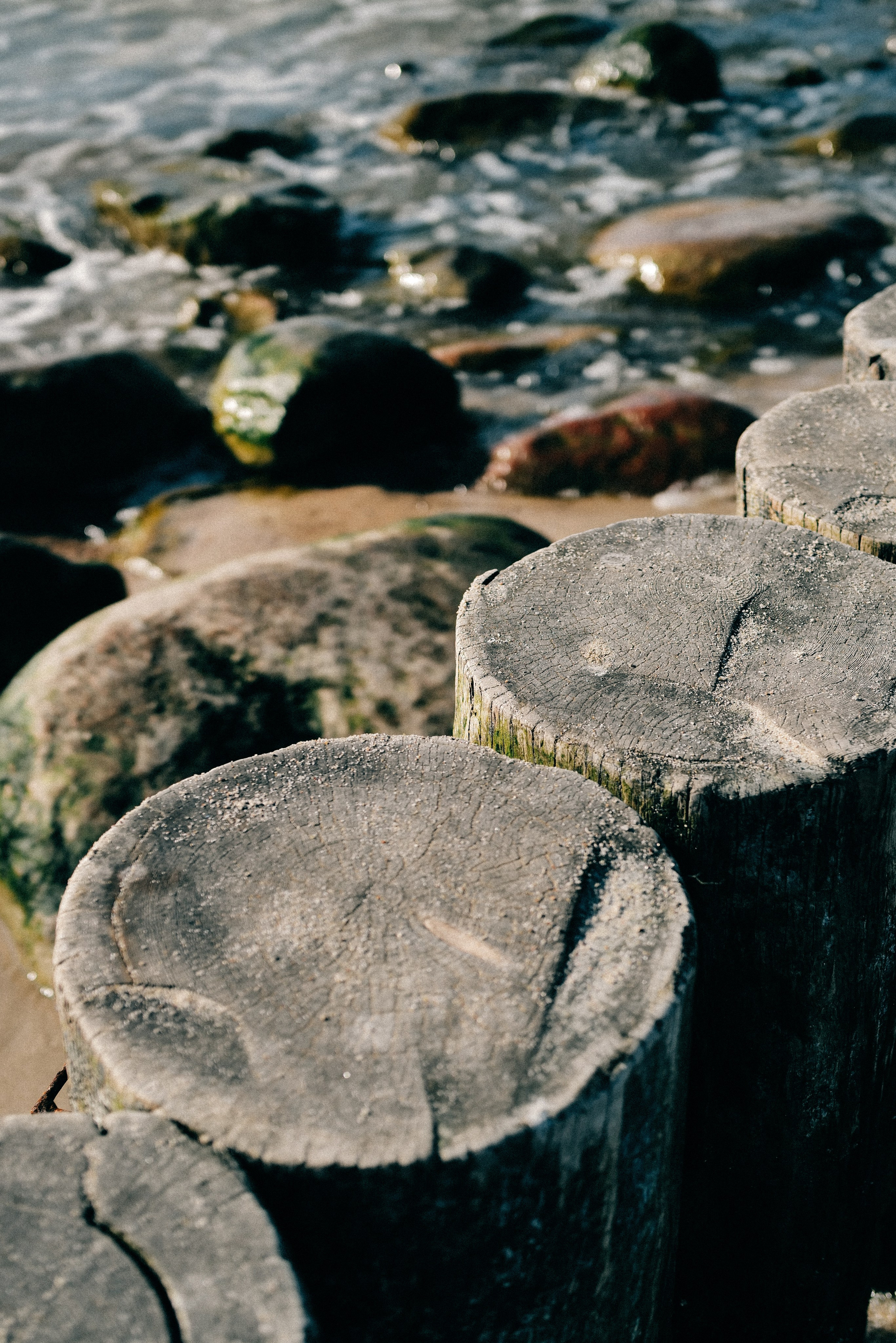 Zelenogradsk. Фотограф София Комкина