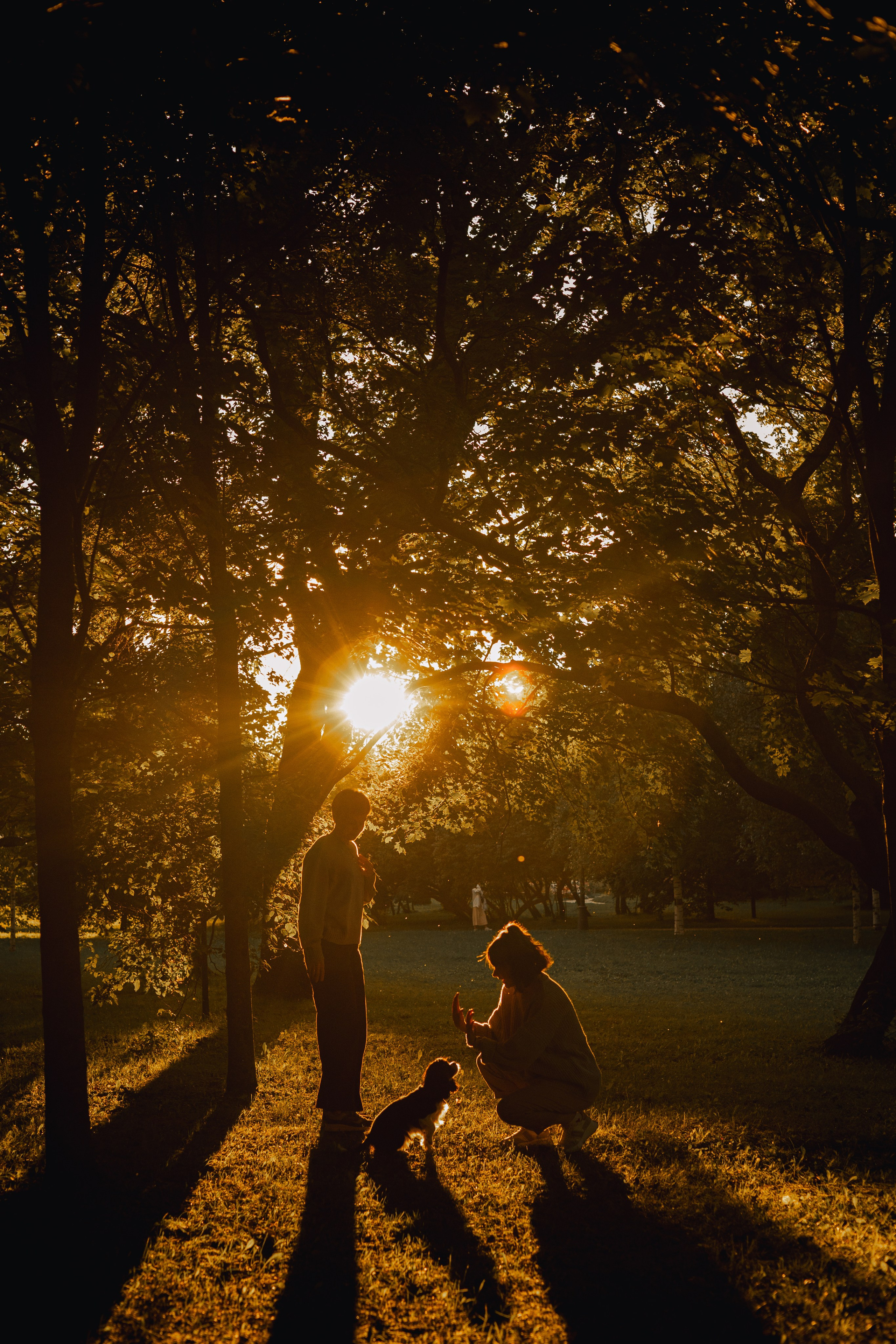 Один день из жизни Стеши и её родных. Фотограф — анималист •love-story•|Санкт-Петербург