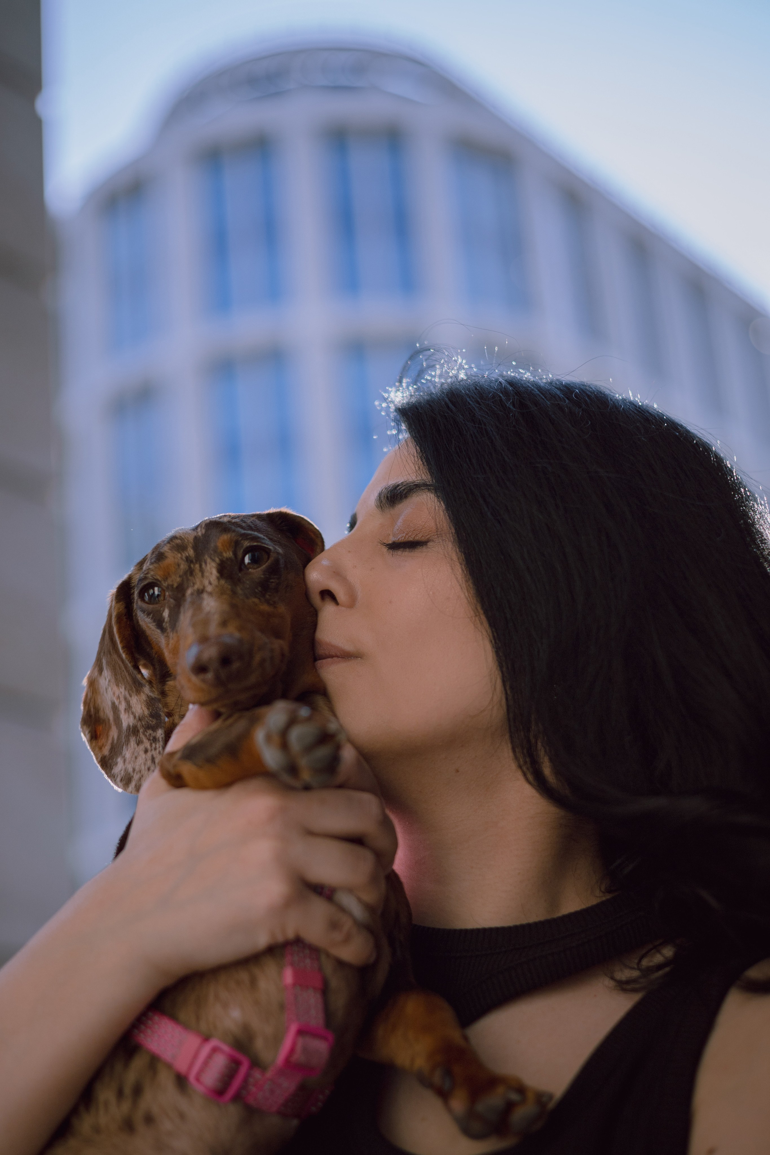Каринэ и Келли. Фотограф — анималист •love-story•|Санкт-Петербург