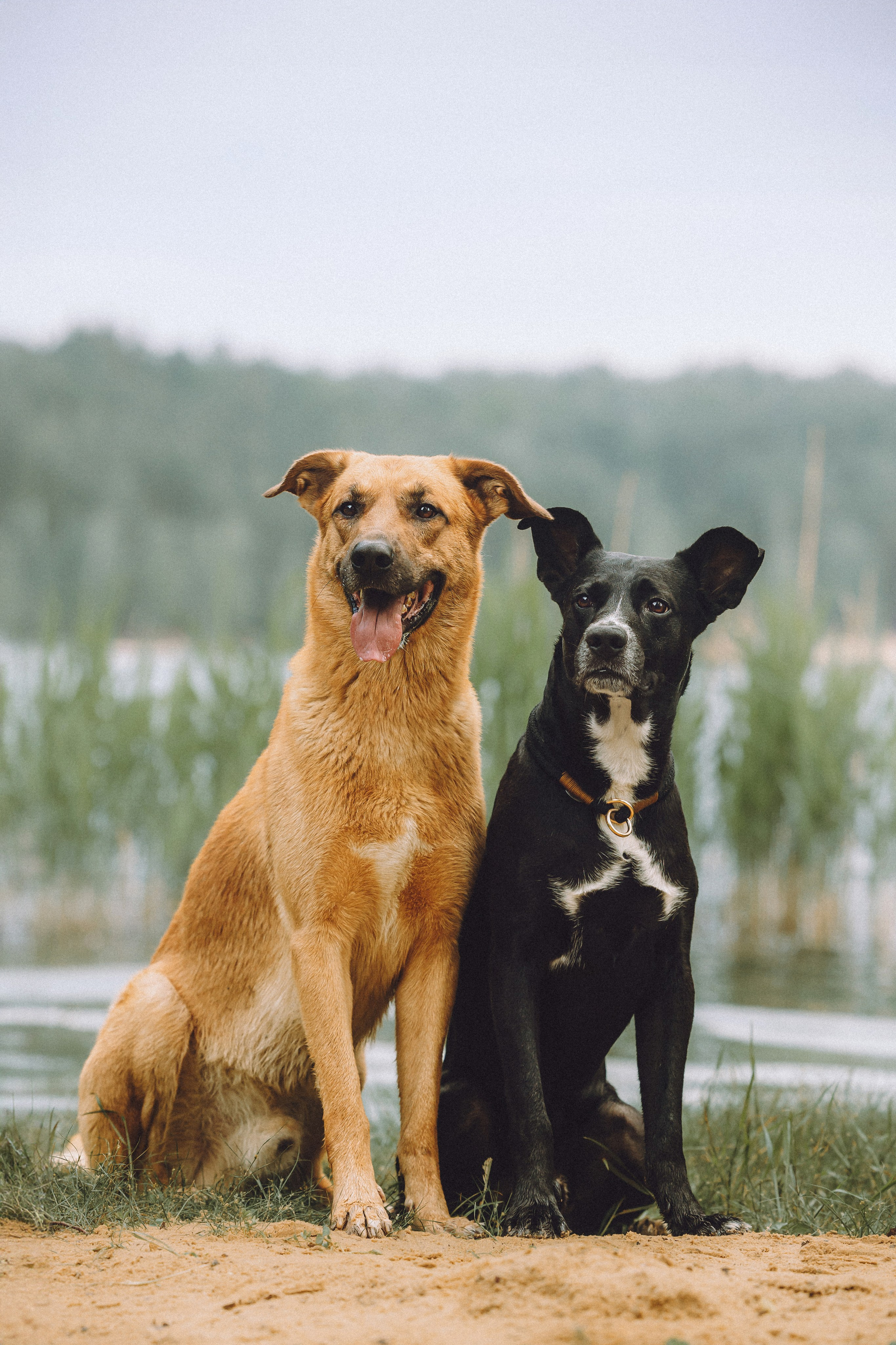 Роби, Тео и их семья