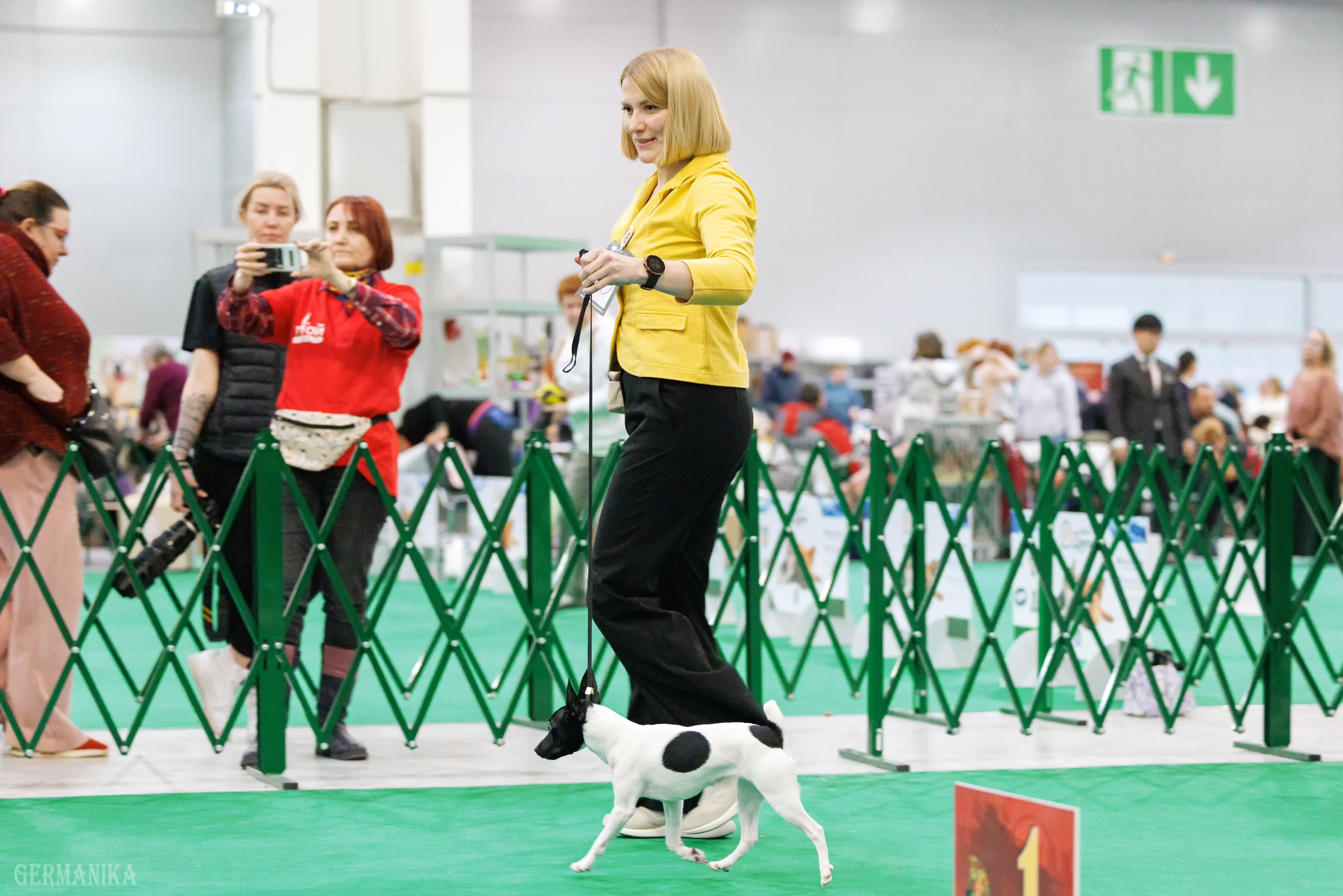 Крокус 10.02,Сфера 11.02.2024. Фотограф-анималист Юлия Германика