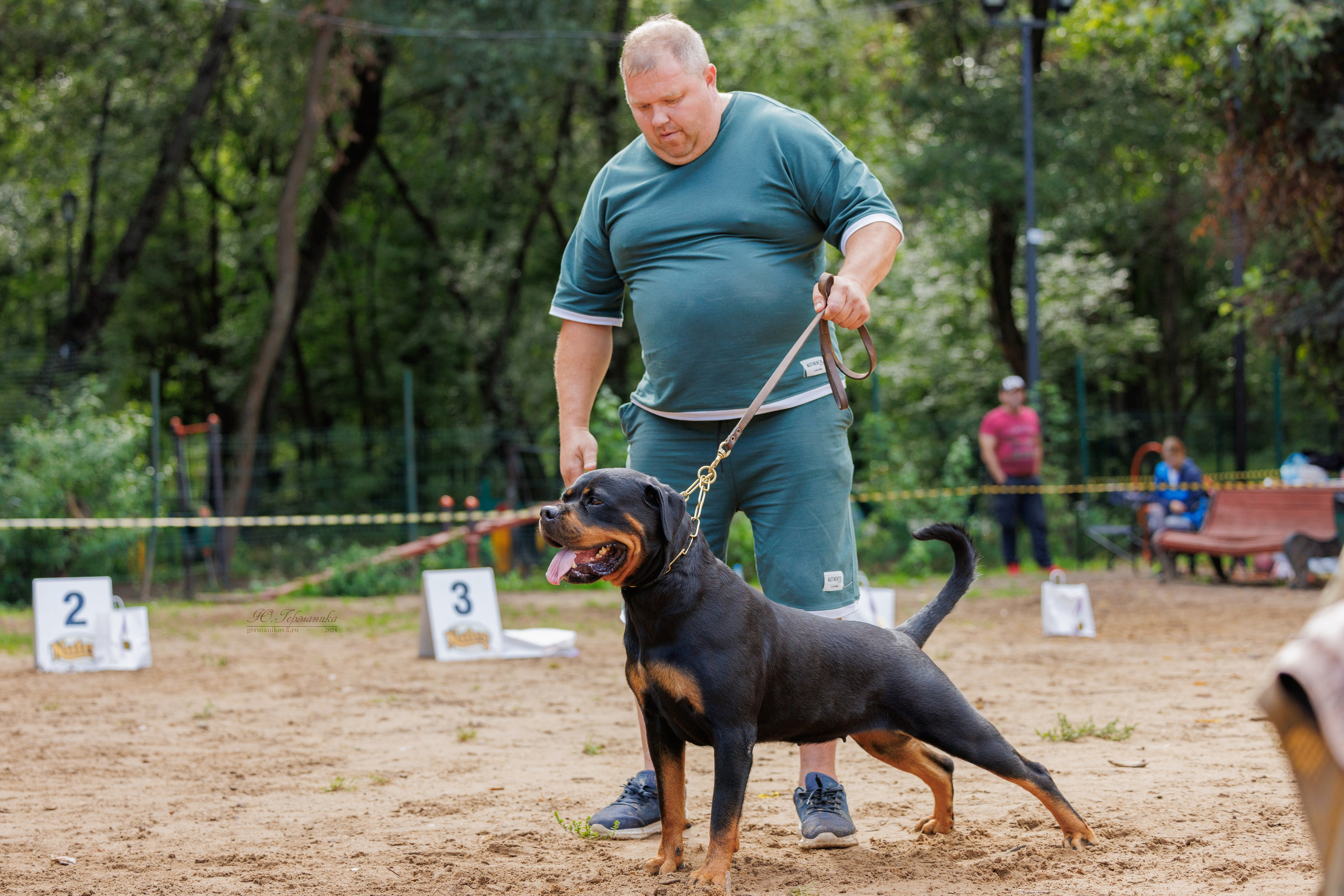 Рязань-Ховрино 10-11.08.2024 3хмоно ротвейлеров. Фотограф-анималист Юлия Германика