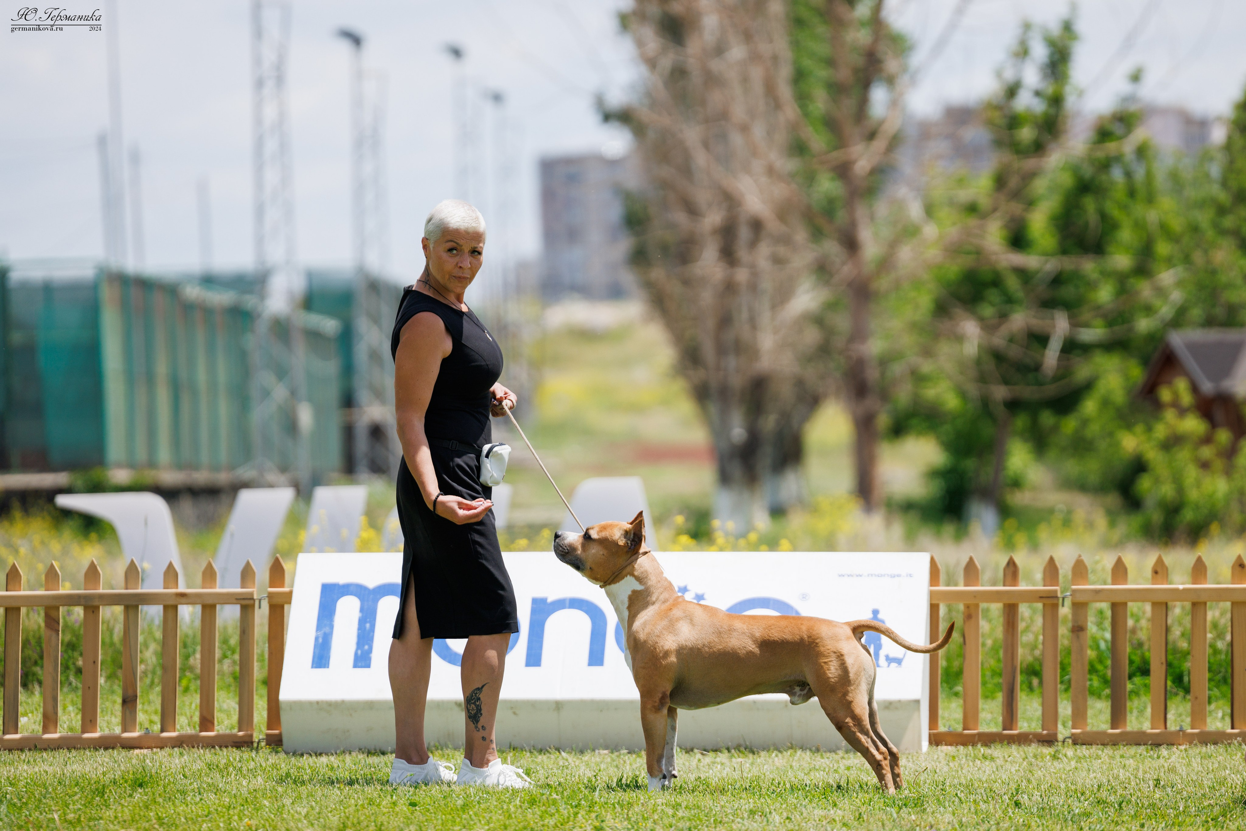 Ереван 3-5.06.2024. Фотограф-анималист Юлия Германика