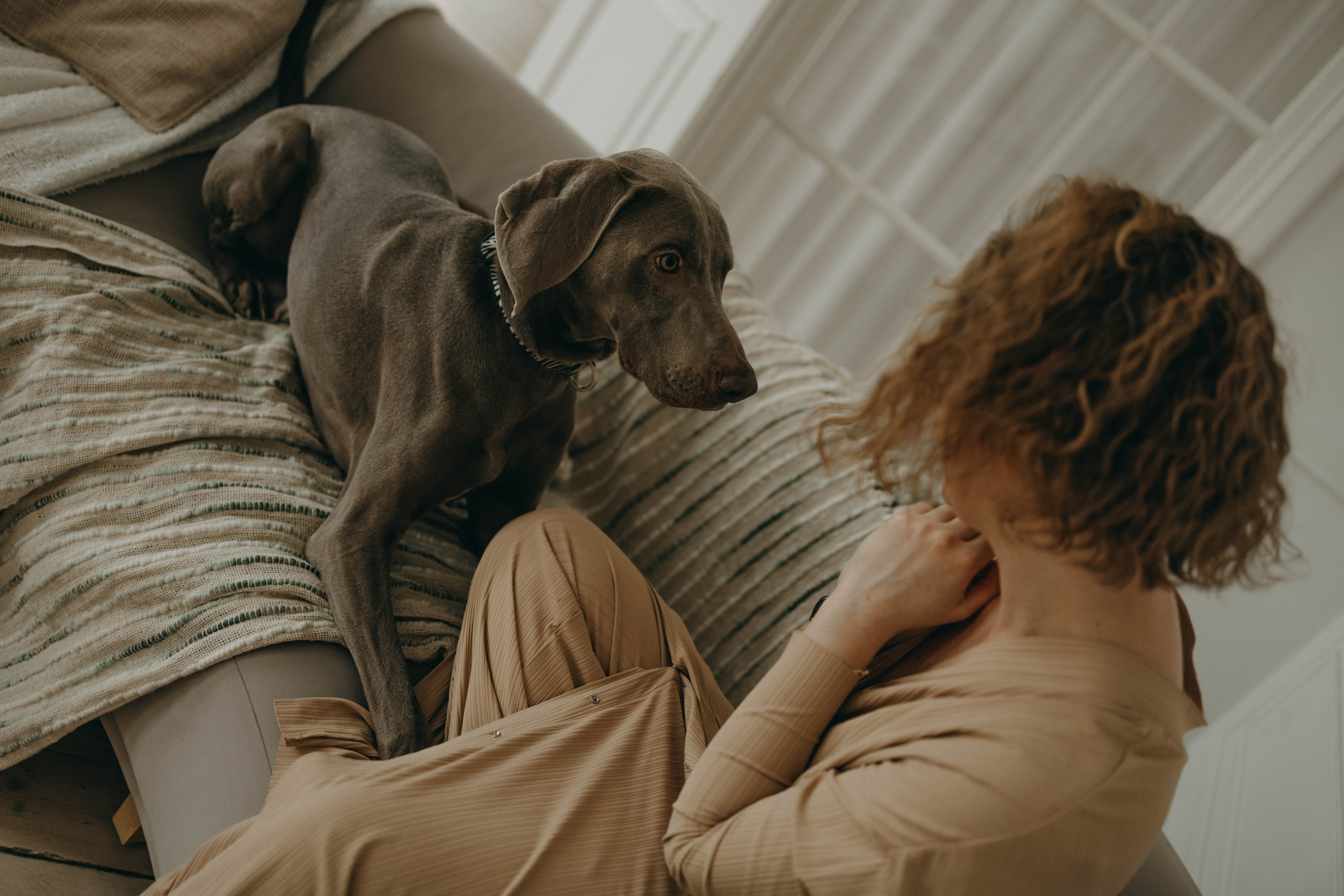 Фотосессия в студии с собакой. Фотограф-анималист в Екатеринбурге | Кристина