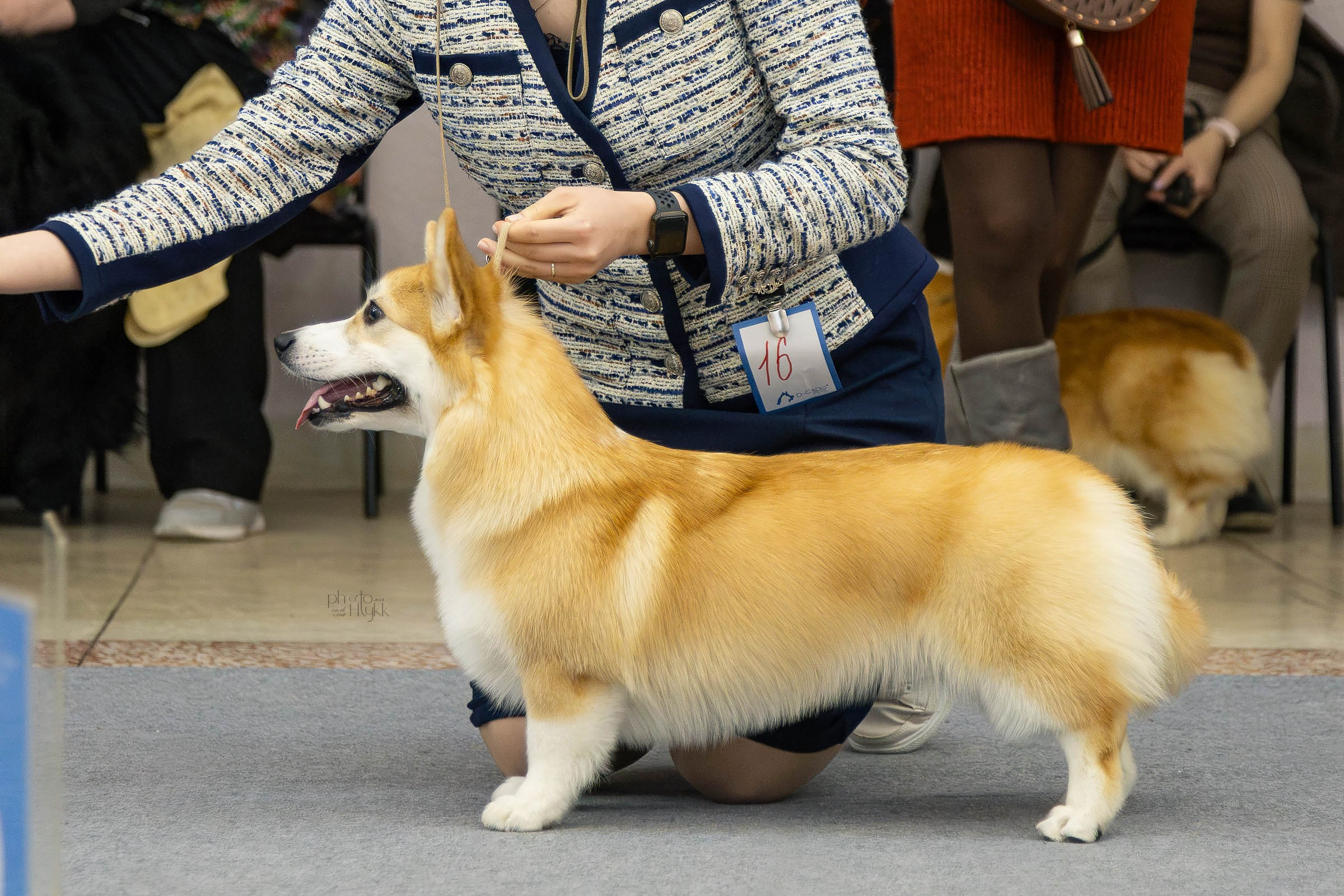 31 марта 2024, Выставка РКФ, г. Пермь. Htykk_photo