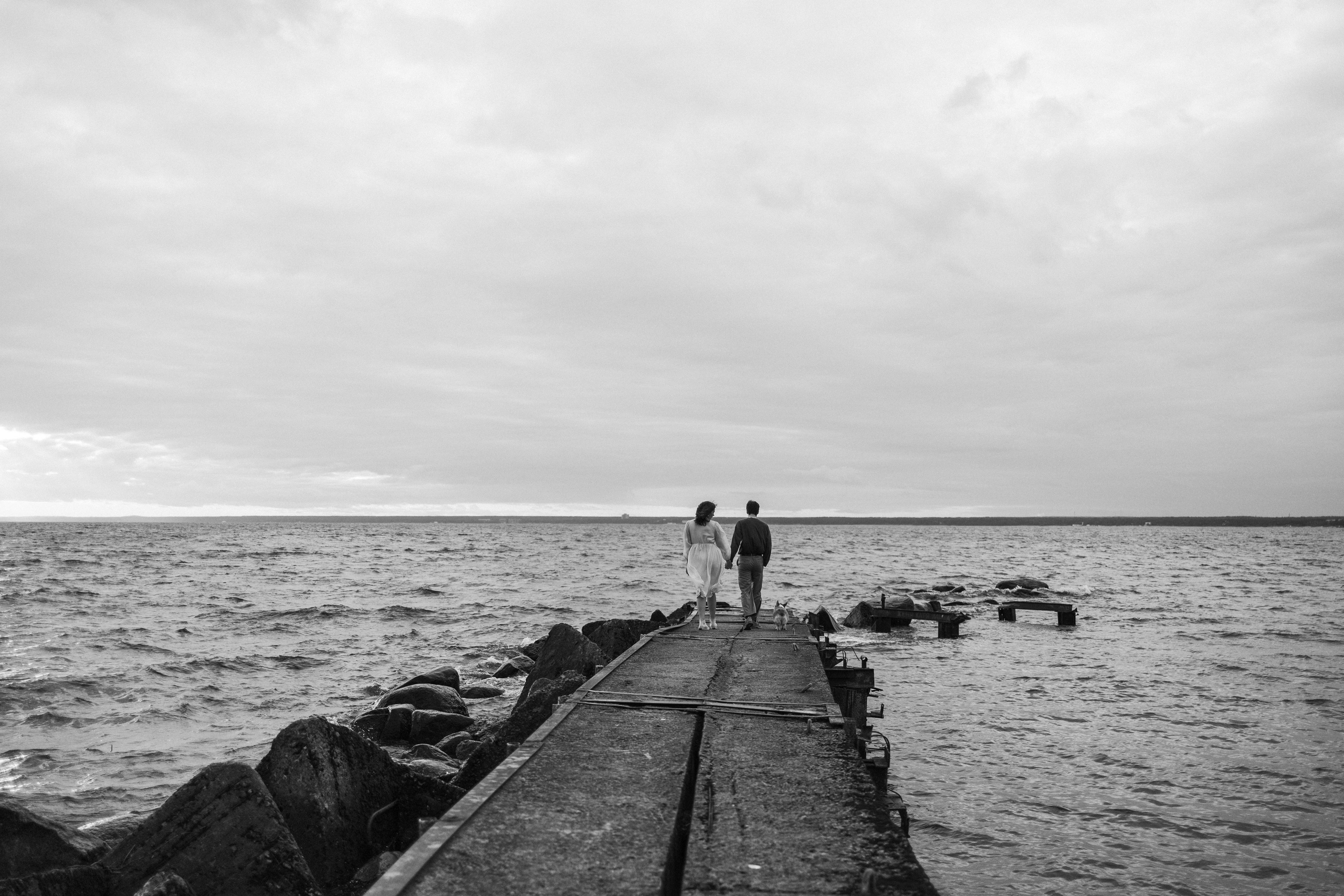 Лотти и ее семья. Фотограф — Анималист | Санкт-Петербург