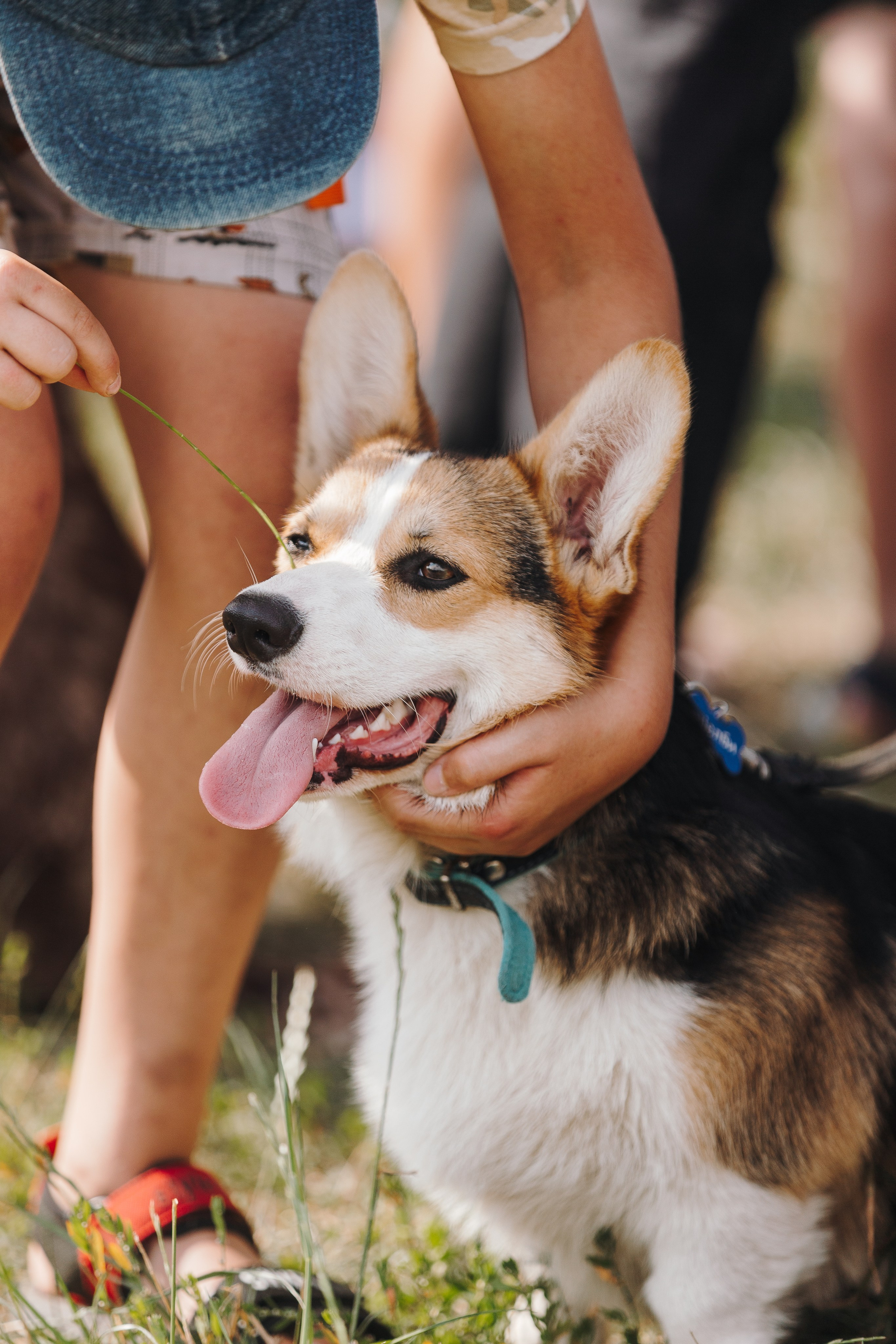 Petshop Sup day. Фотограф анималист Кристина Карпова, Москва