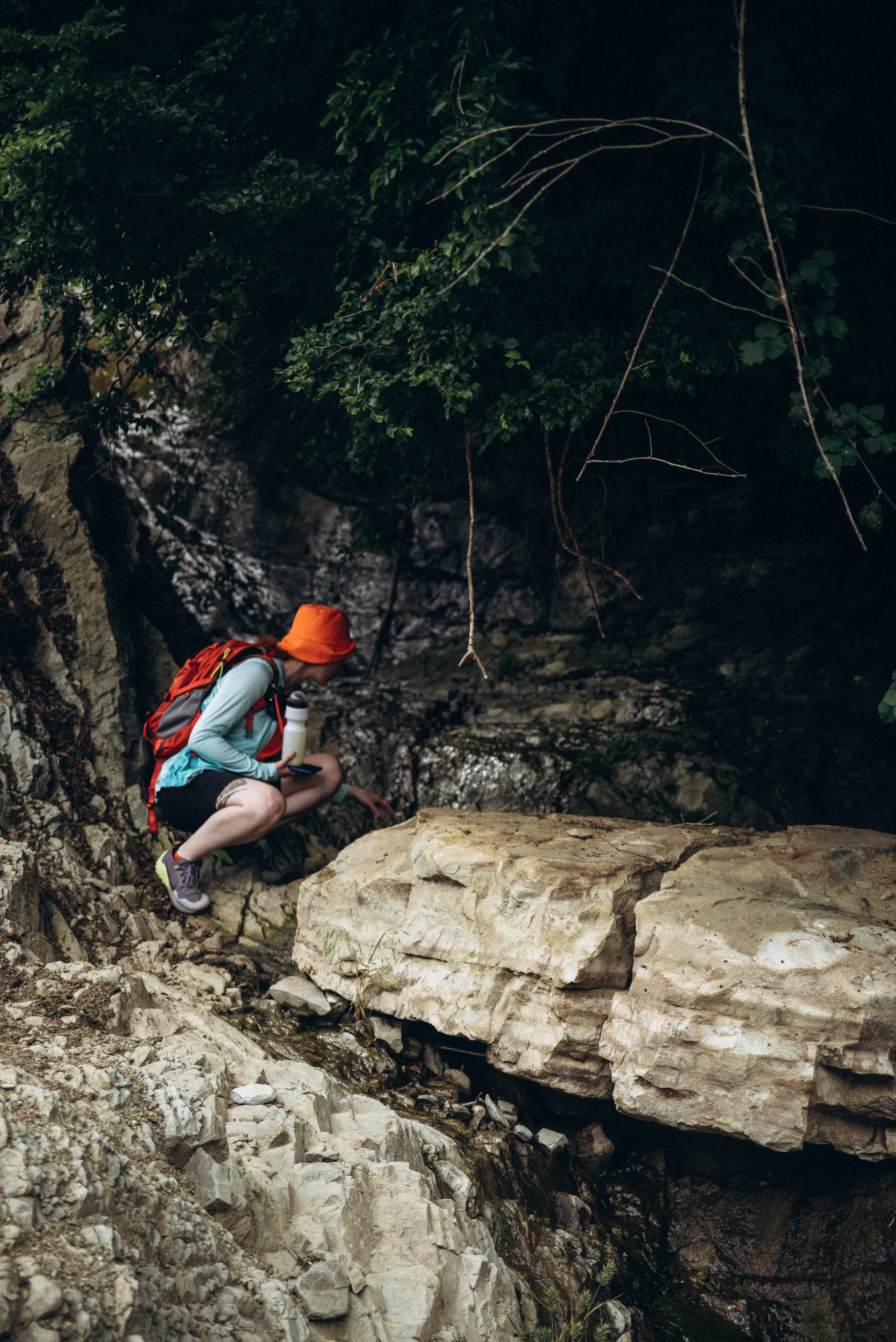 Коджори, Грузия 🇬🇪 «Honey Trip». Anita_photo