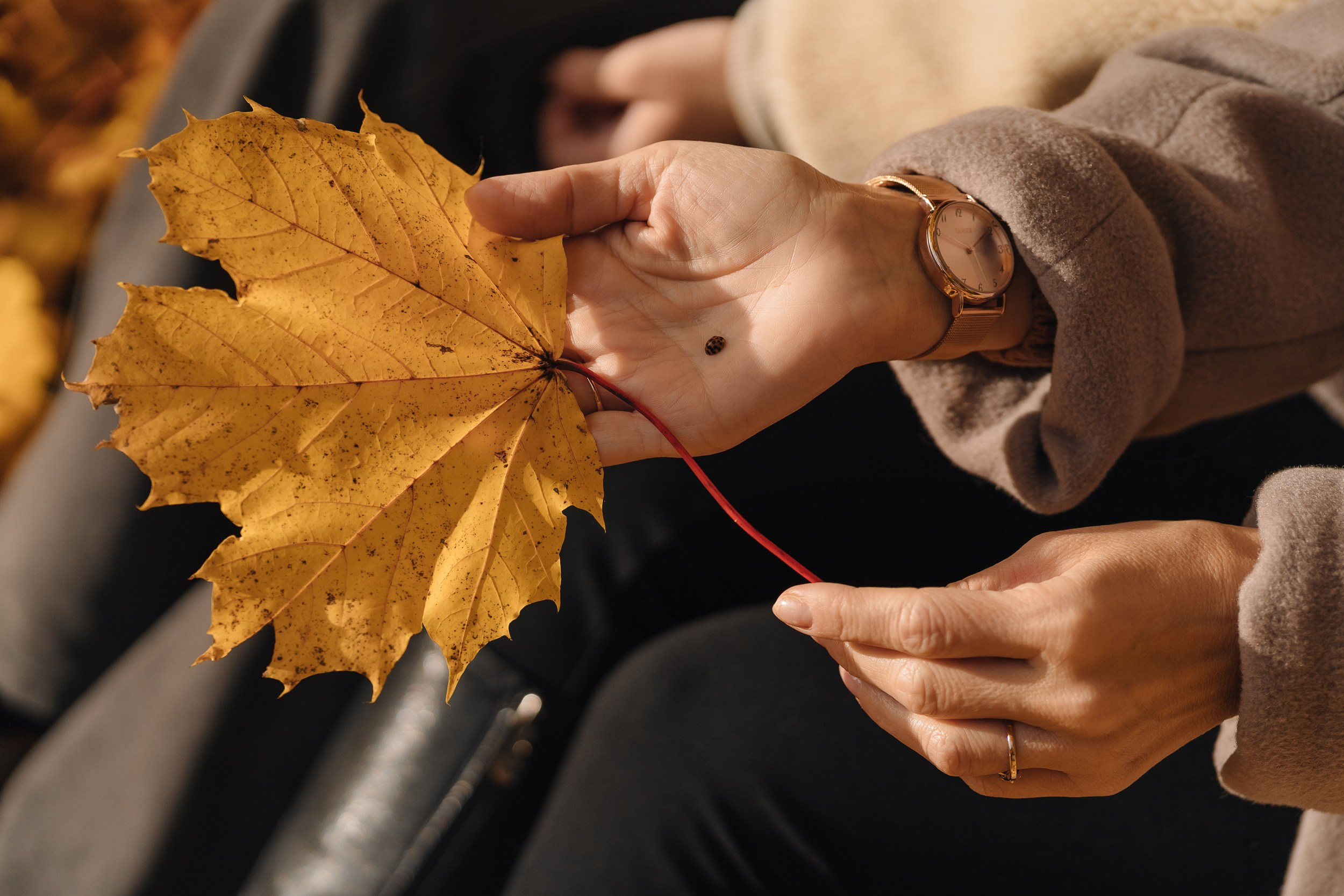 Наташа и Соня. Свадебный и семейный фотограф в Калининграде Алина Свиклан
