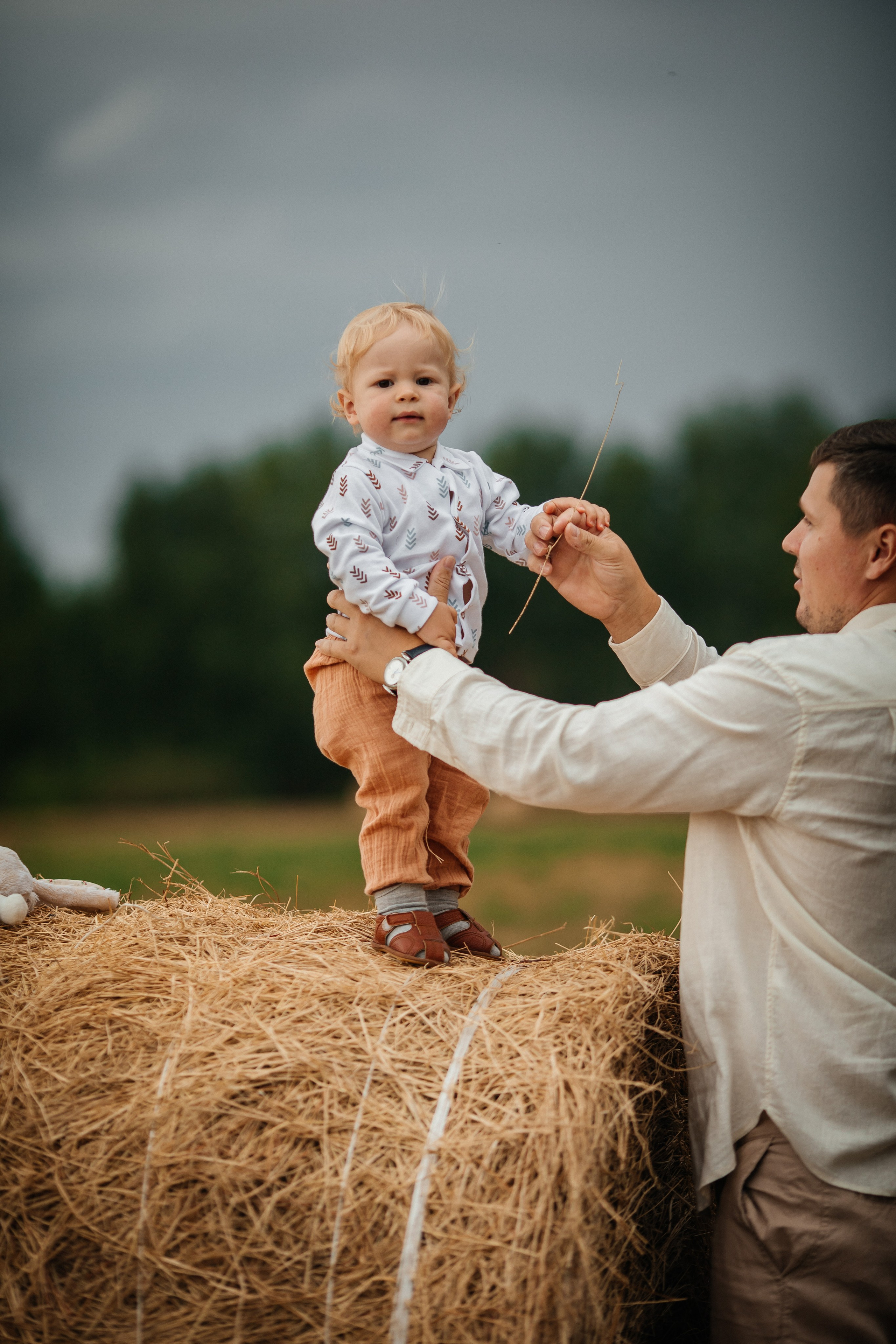 Лето на закате. Olga.filippova.photo