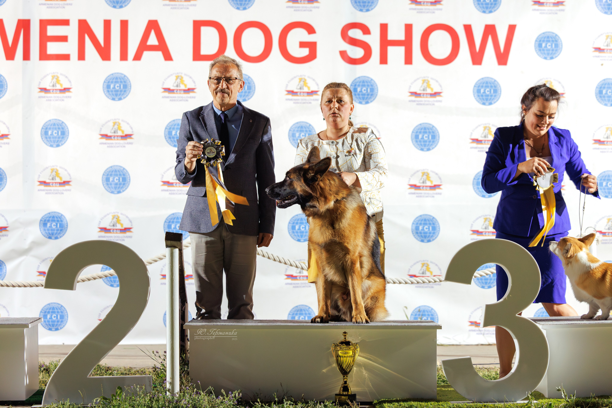 Ереван 3хCACIB 23-25.06.2025. Фотограф-анималист Юлия Германика