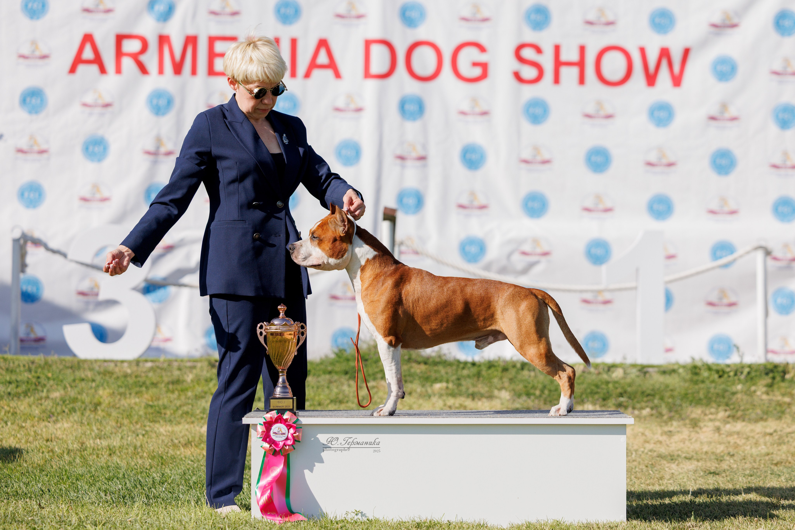 Ереван 3хCACIB 23-25.06.2025. Фотограф-анималист Юлия Германика