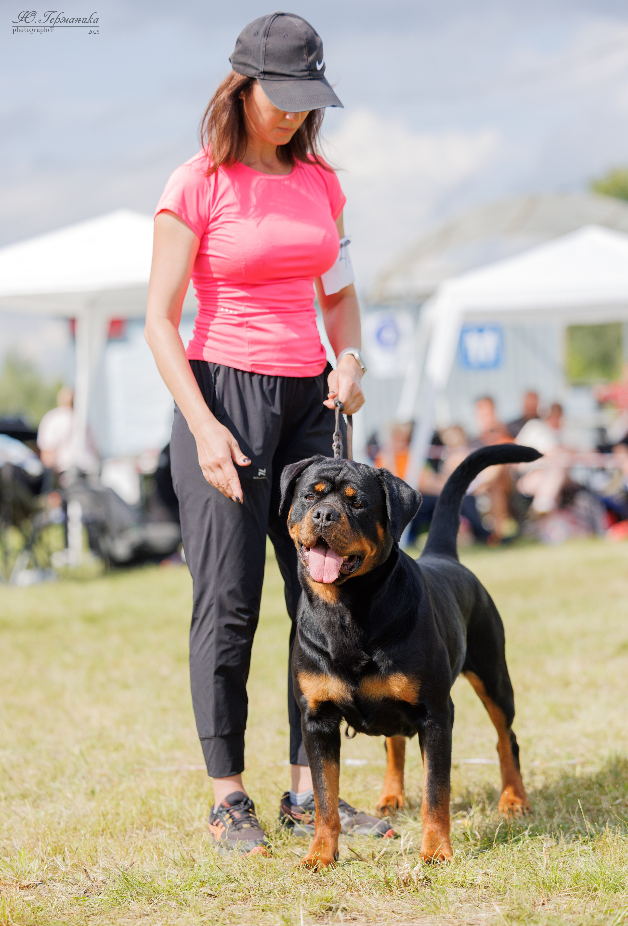 Рязань 2хмоно ротвейлеры 16-17.08.2025. Фотограф-анималист Юлия Германика