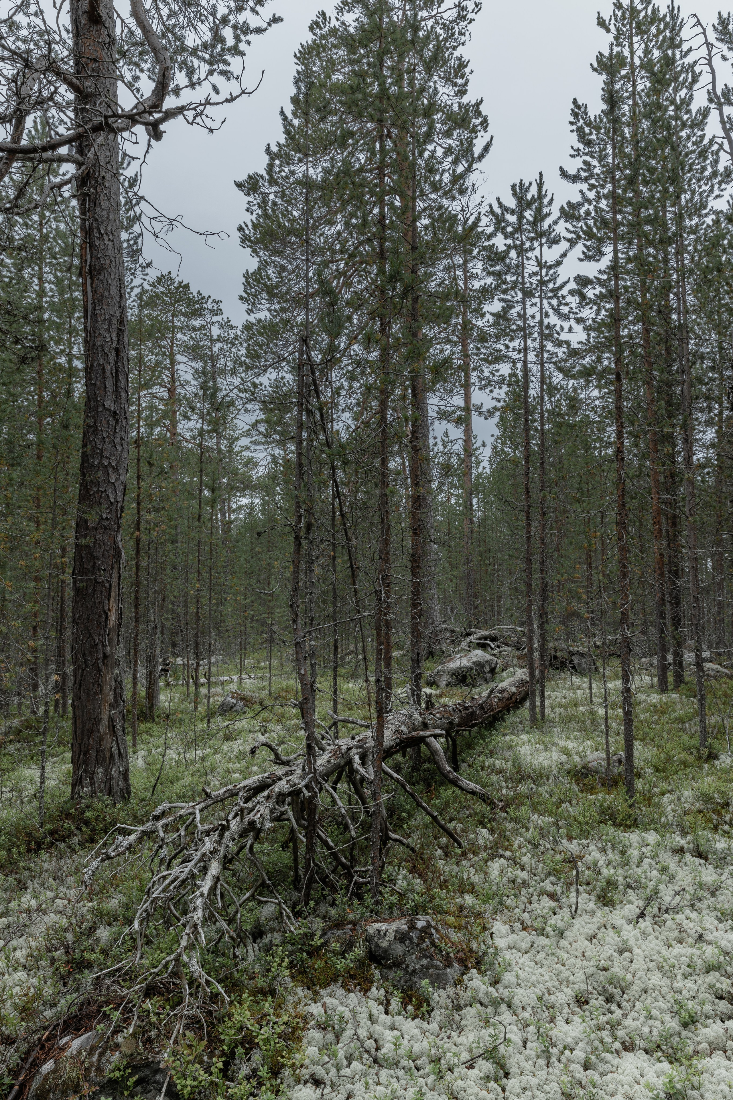 Оз. Колвицкое. Фотографии