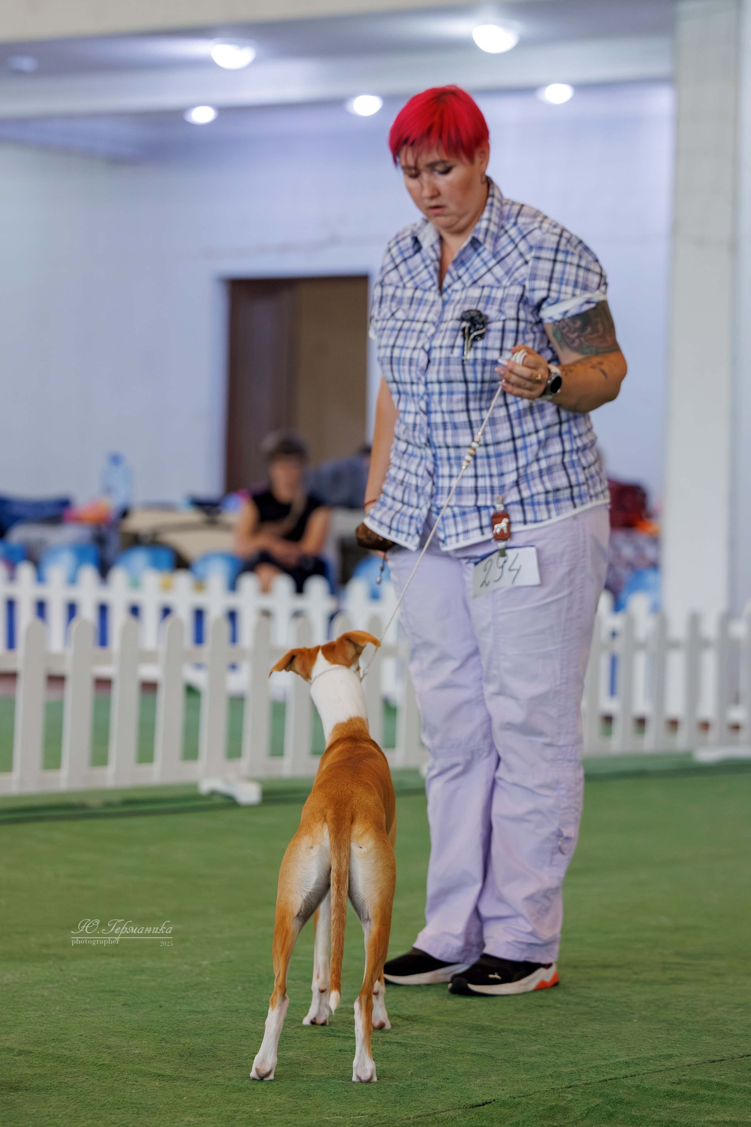 Батуми 3хCACIB 27-29.06.2025. Фотограф-анималист Юлия Германика