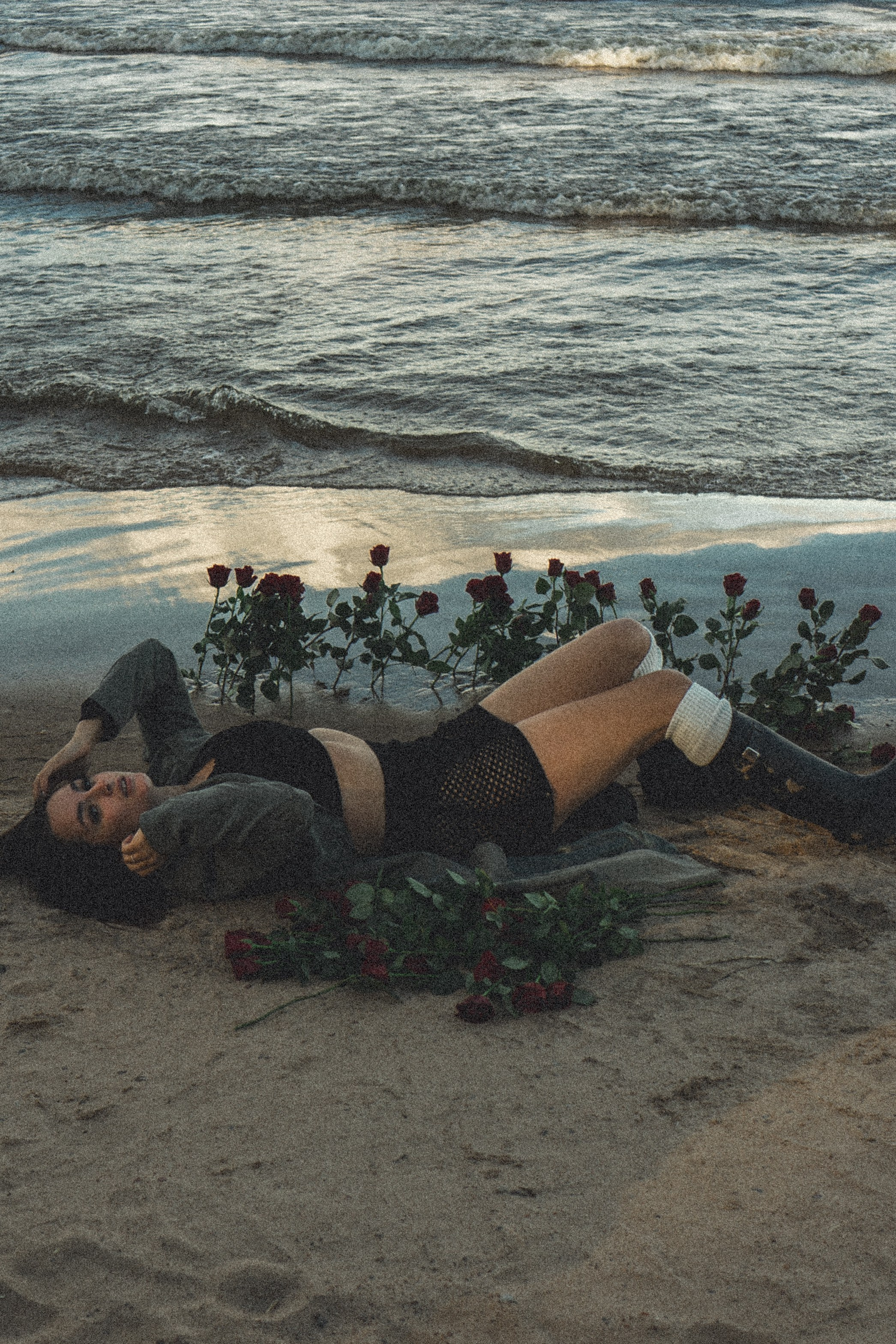 Розы. Профессиональный фотограф, Санкт-Петербург — Виктория Богомолова