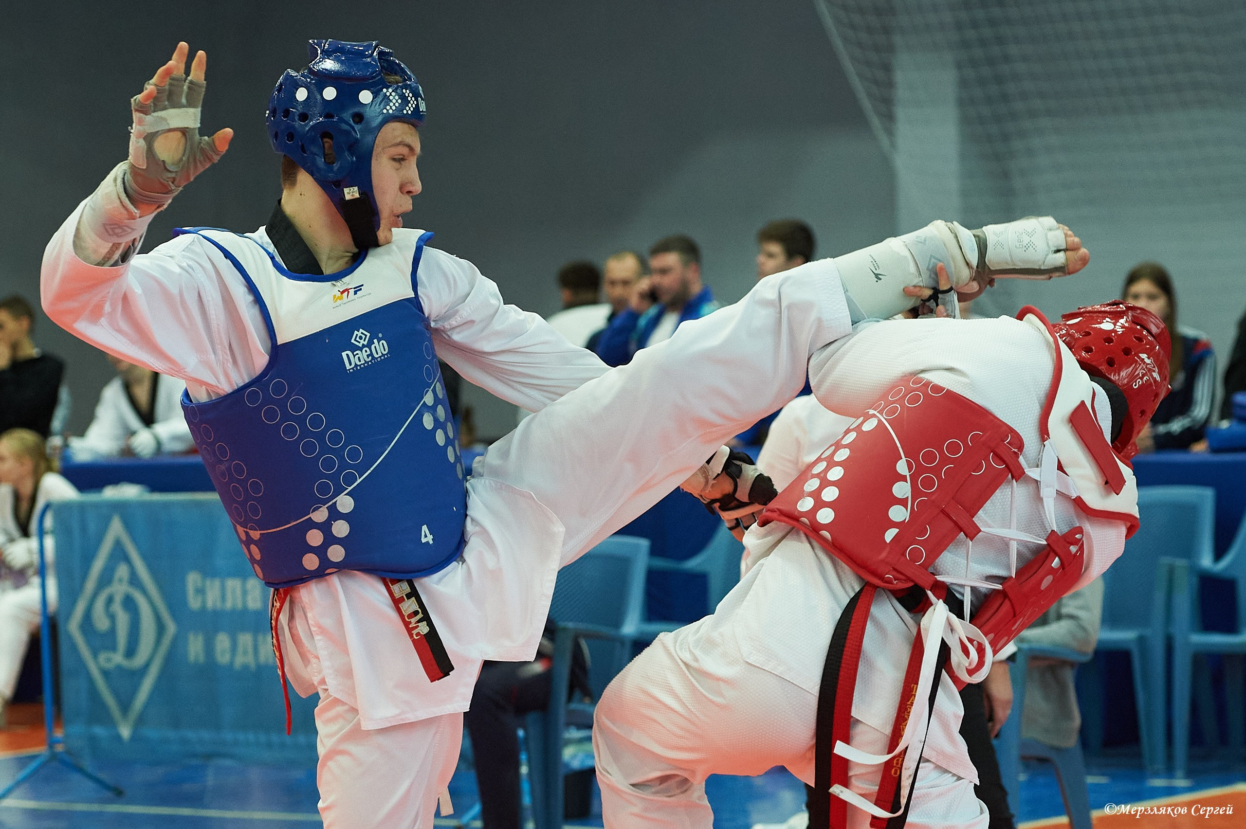 Тхэквондо. ПФО. Ижевск. 2023.02.12. Спортивный репортажный фотограф в Ижевске Сергей Мерзляков