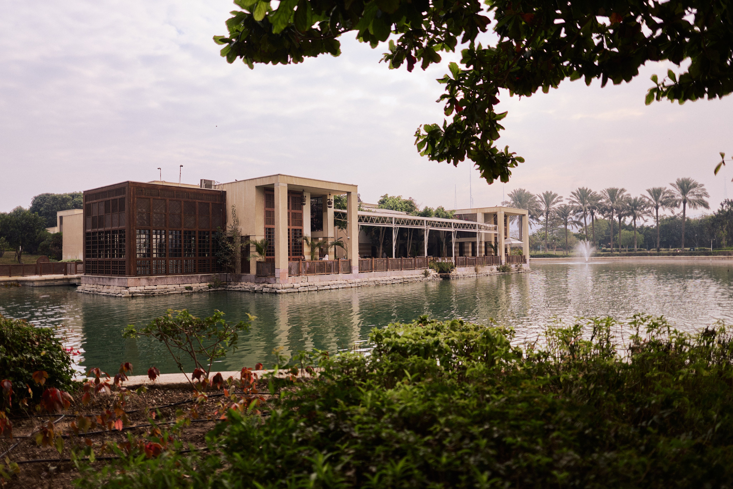 Другое 4. Jorgis — фотограф в Хургаде / обучение фотографии