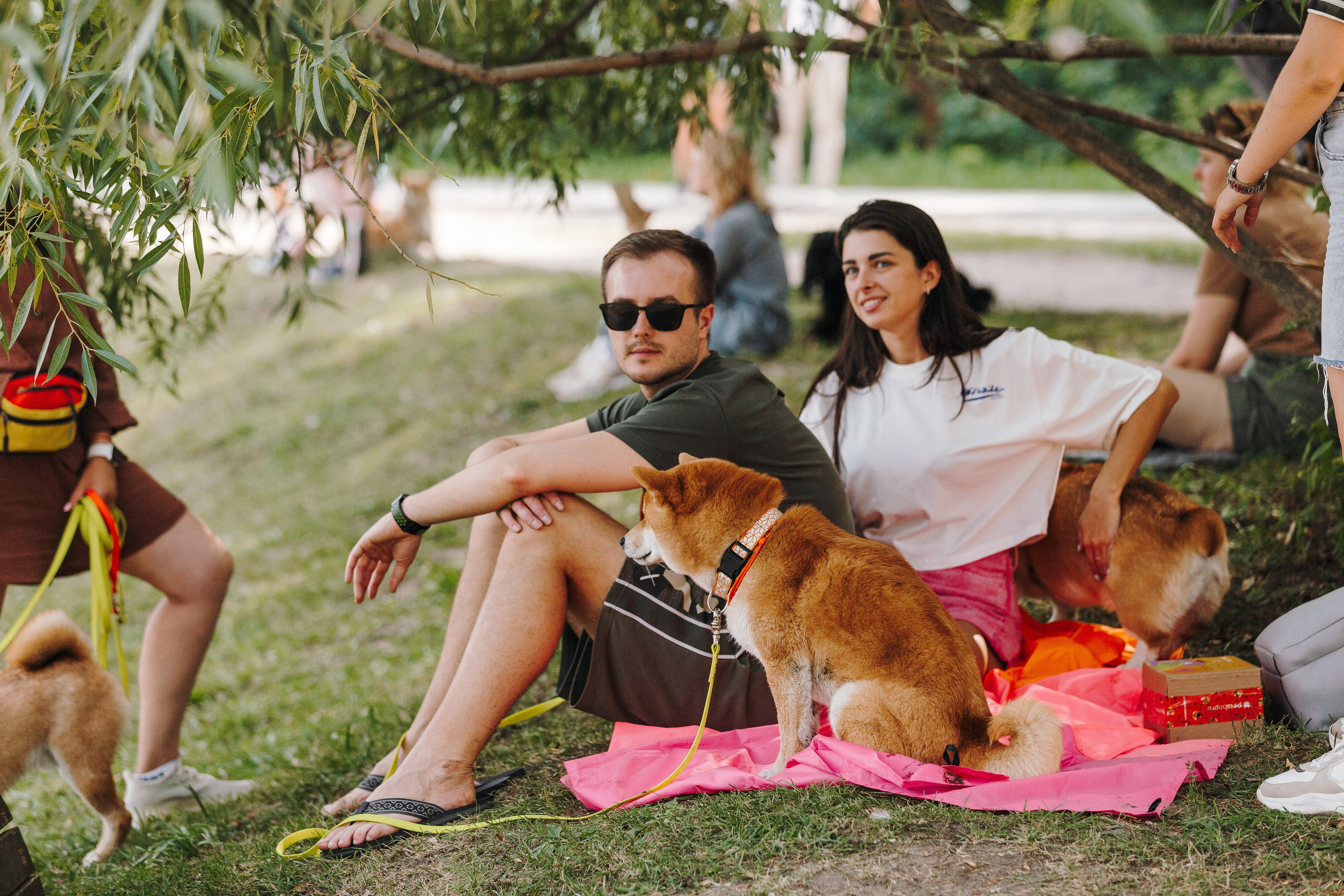 Petshop Sup day. Фотограф анималист Кристина Карпова, Москва