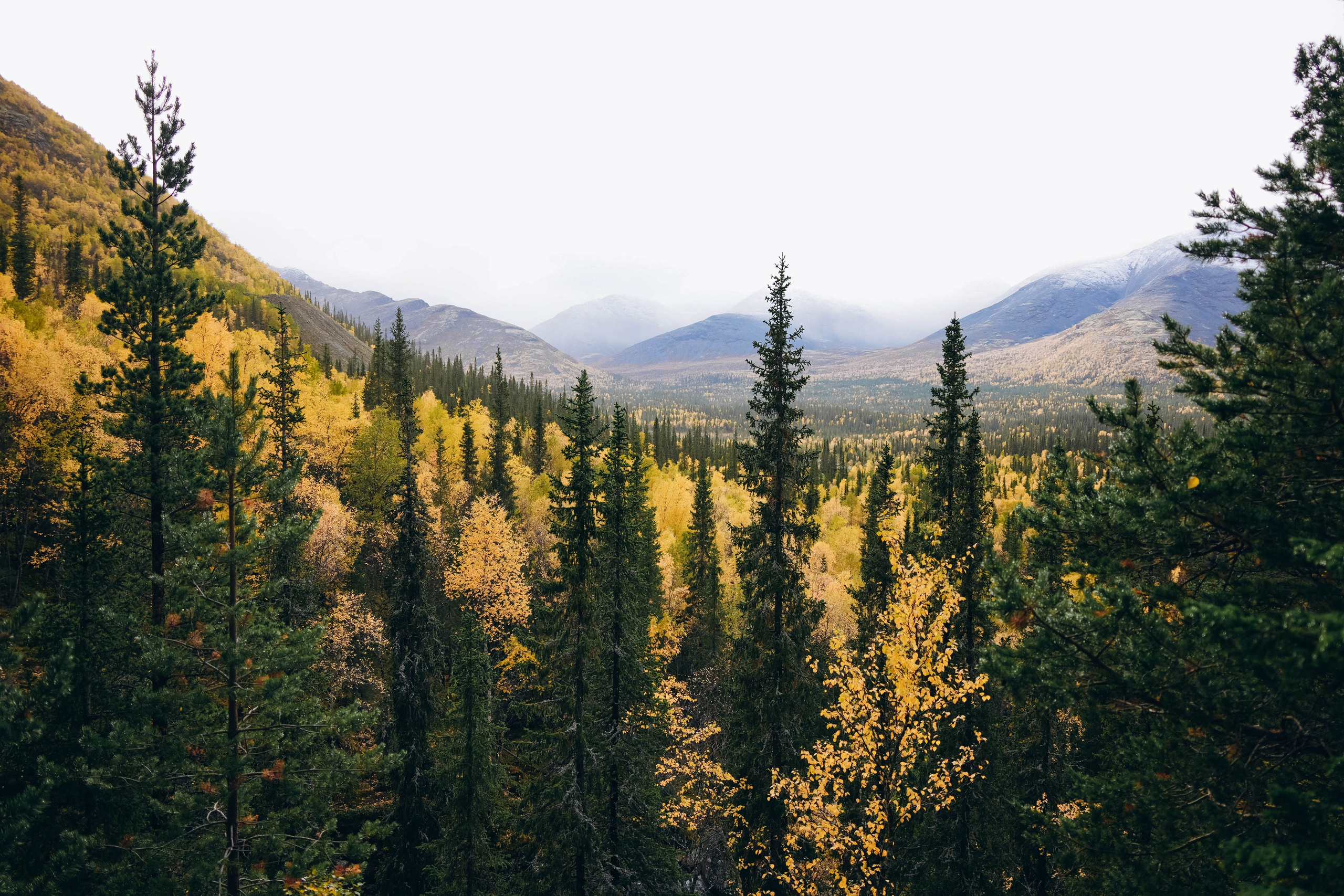 СЕВЕР. Event фотограф Степанова Александра
