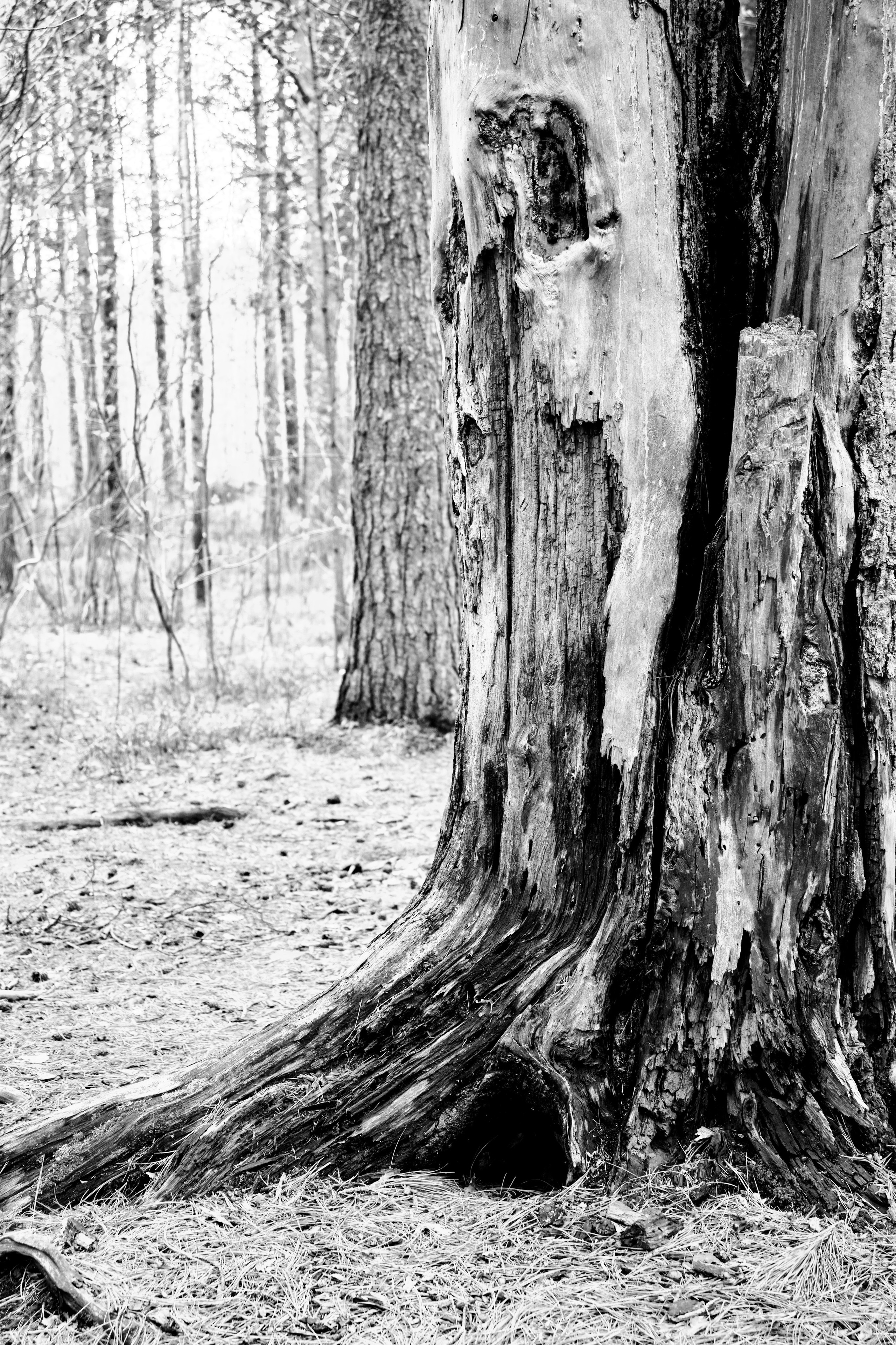 Пейзажи. Репортажный и семейный фотограф — Шелихов Сергей