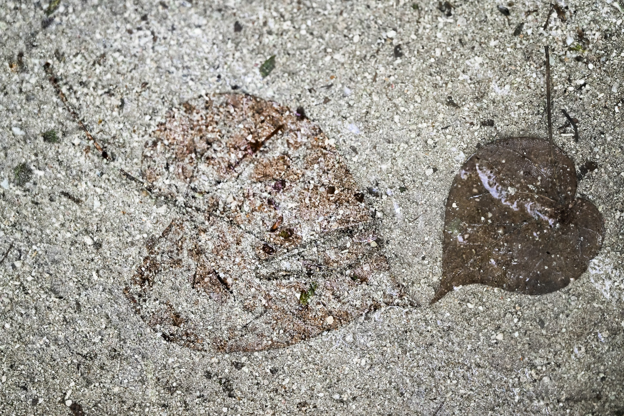 Осязаемая красота. Авторские стильные фотокартины